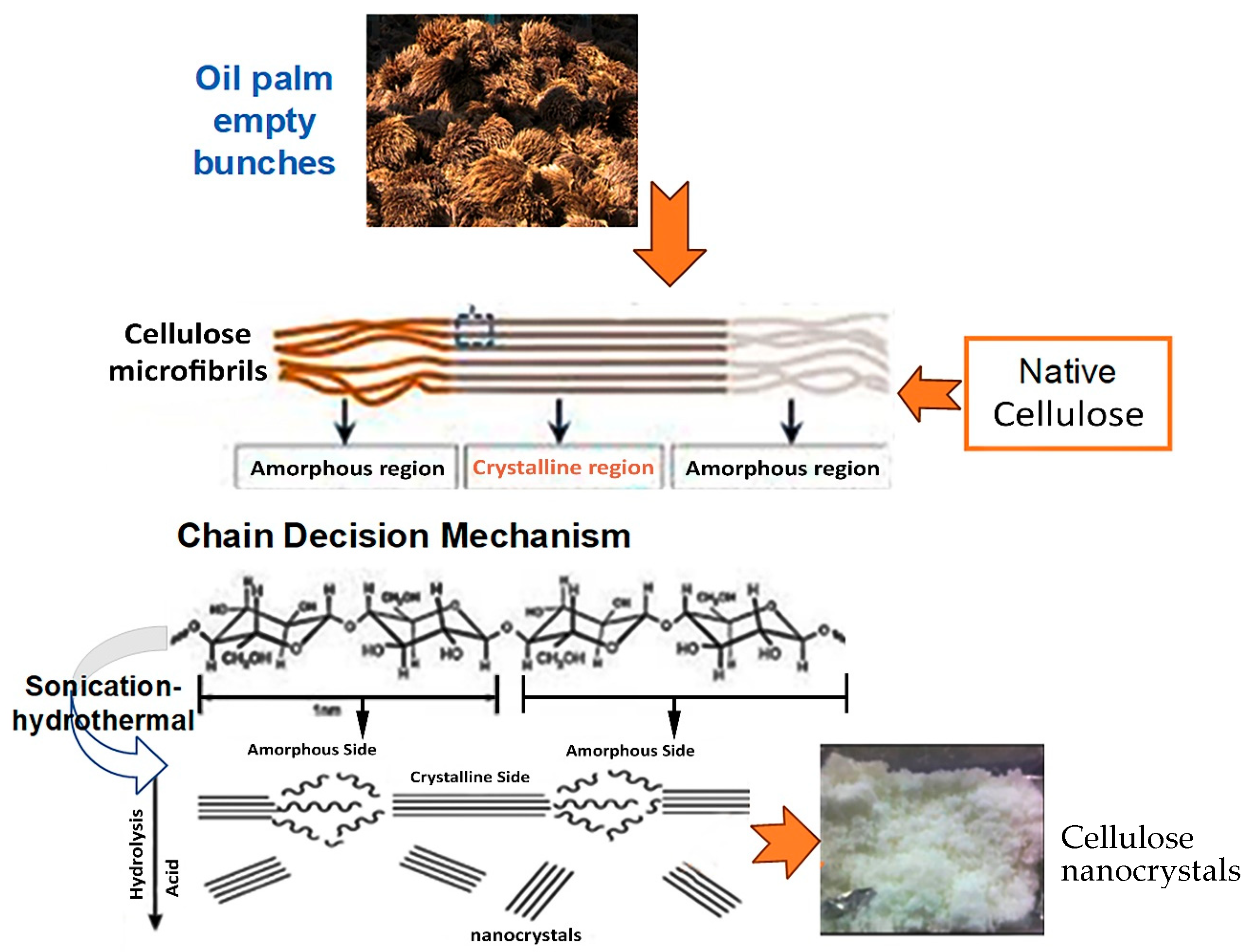 Polymers 16 01866 g002