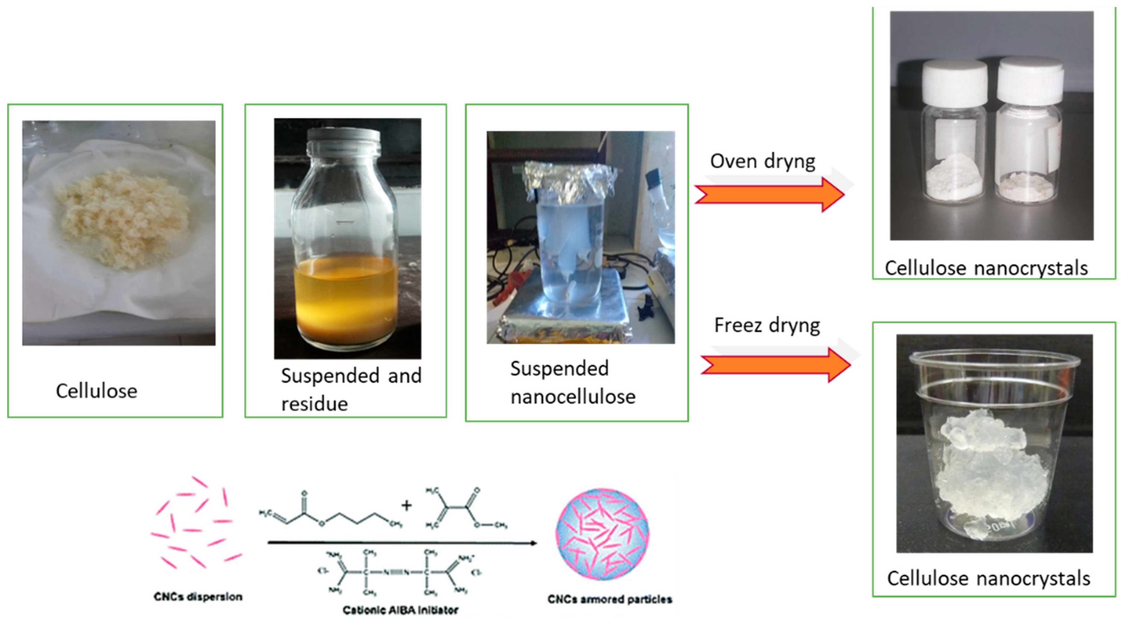 Polymers 16 01866 g011