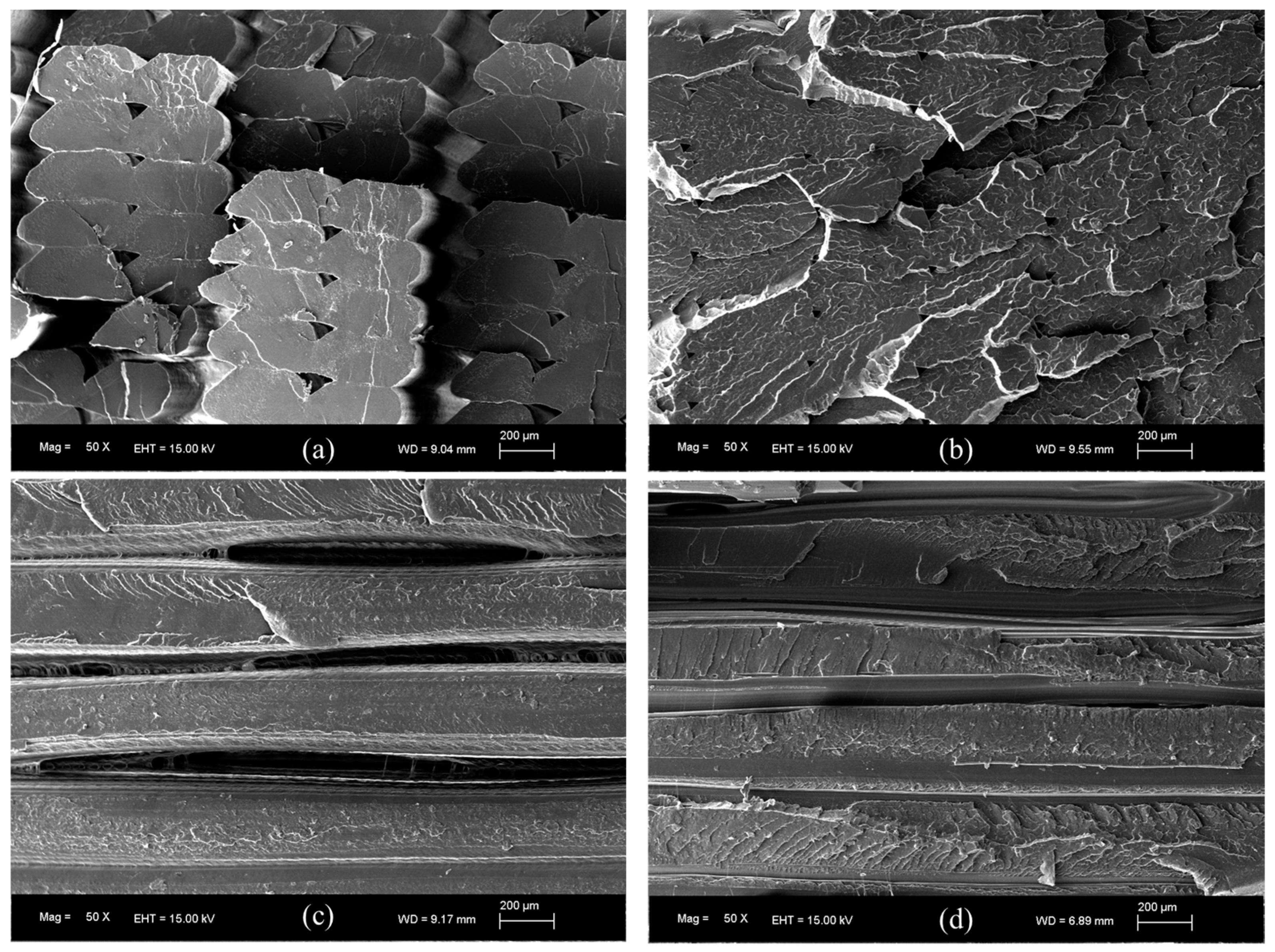 Polymers 16 01867 g009