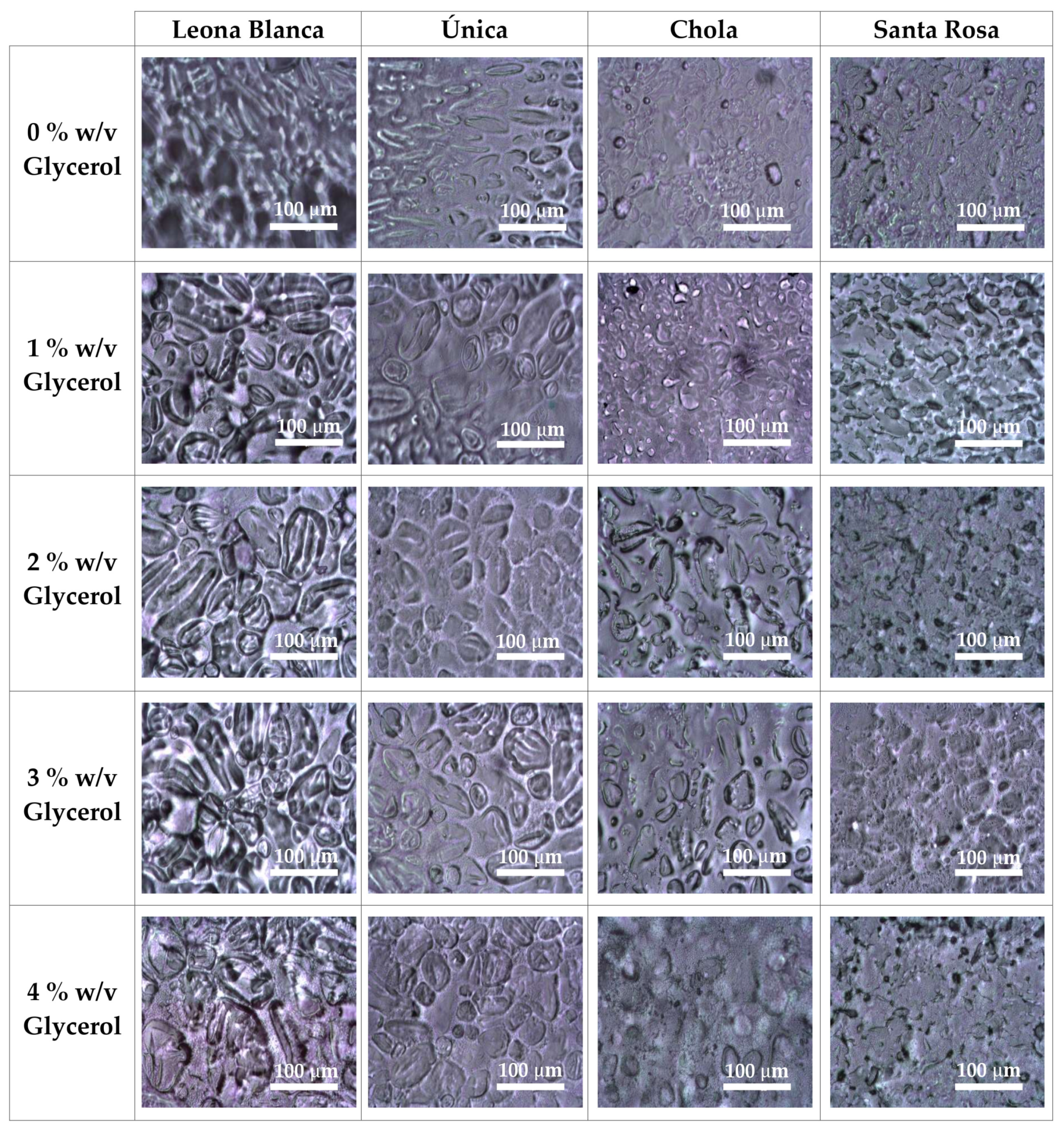 Polymers 16 01873 g002