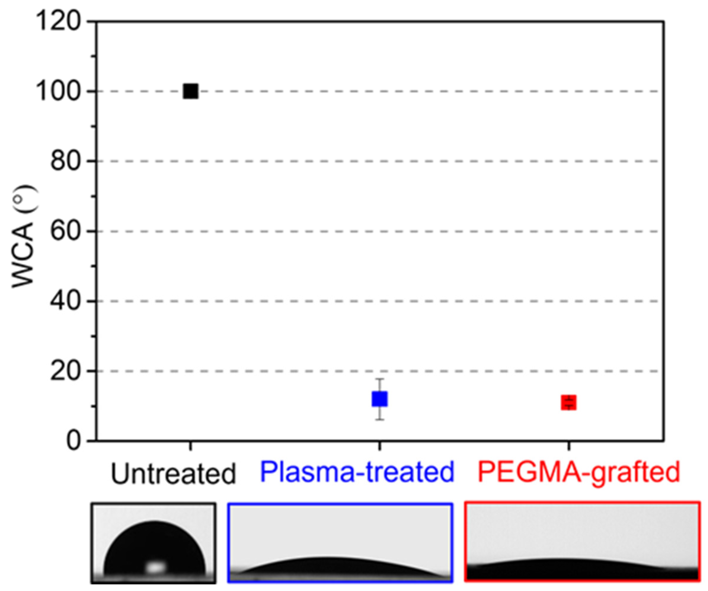 Polymers 16 01874 g003