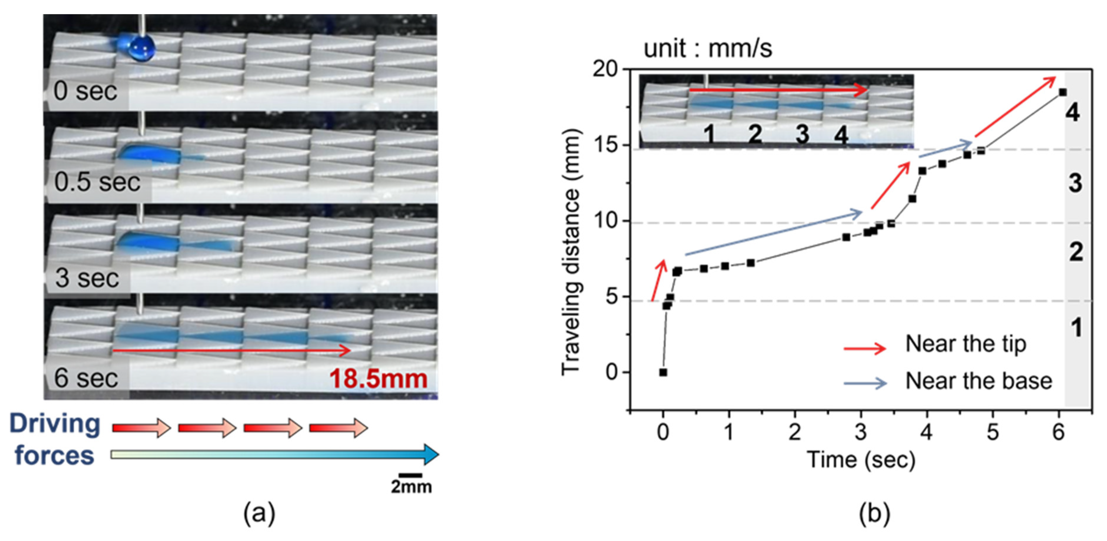 Polymers 16 01874 g011