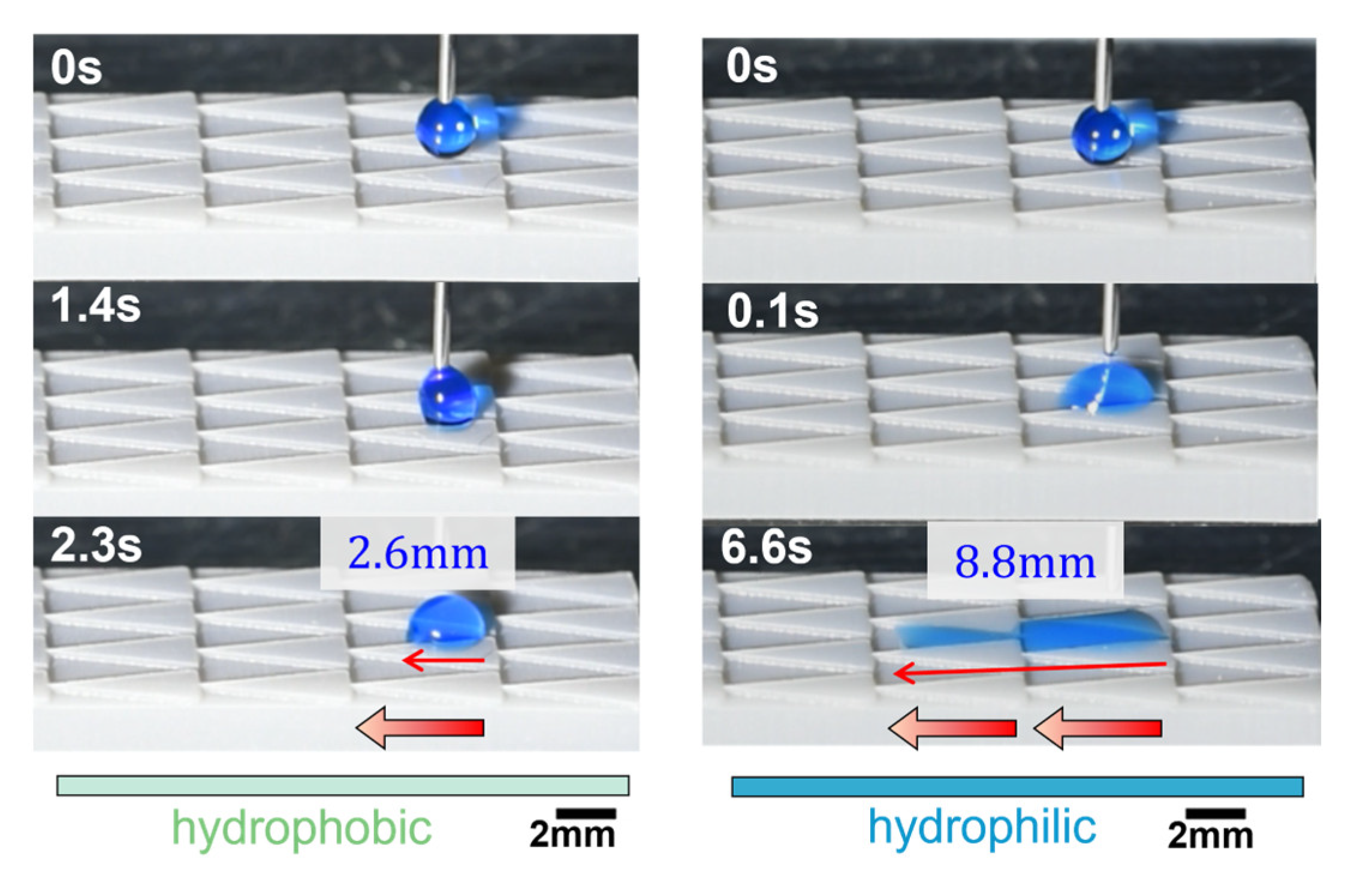 Polymers 16 01874 g012