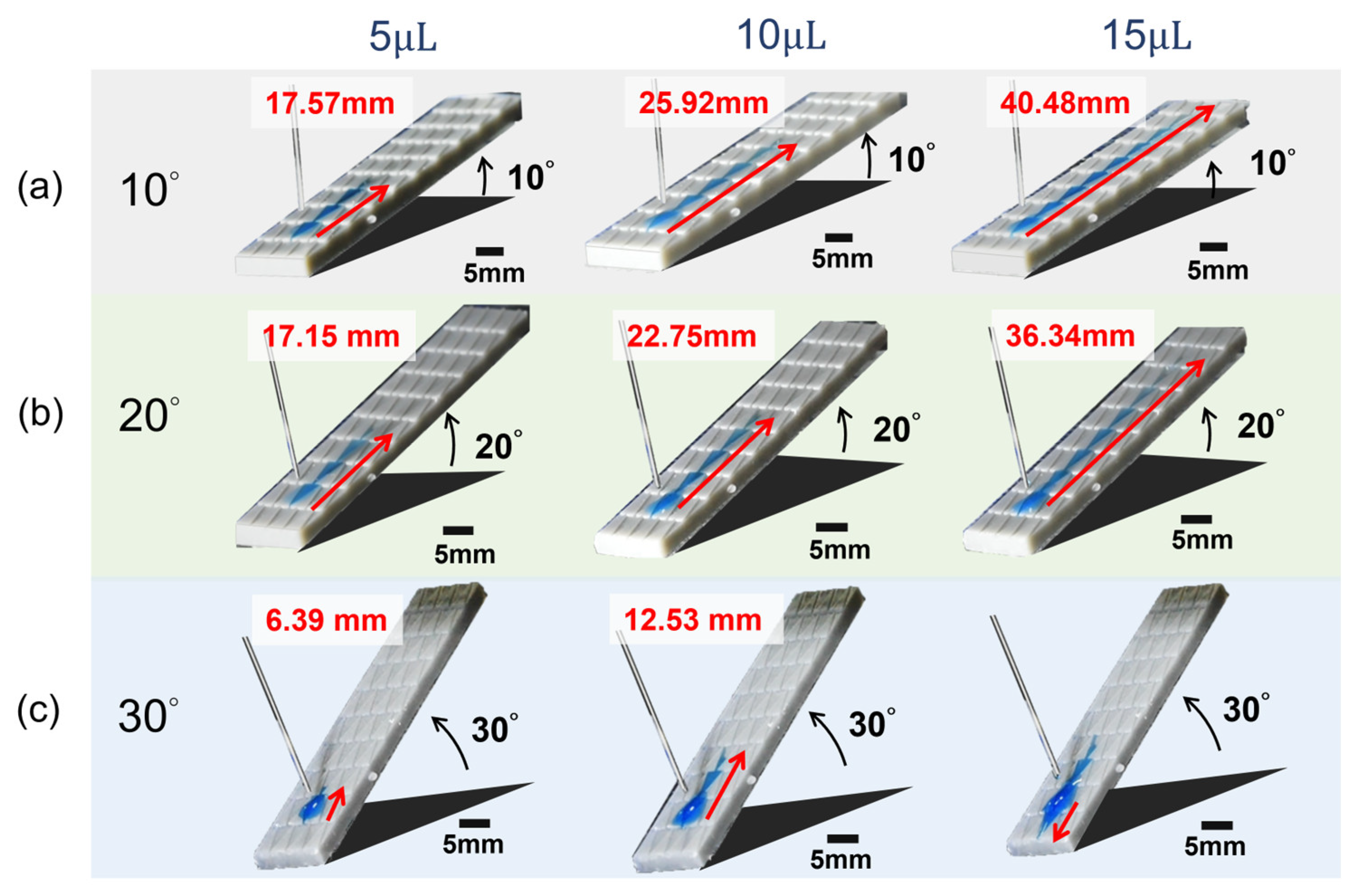 Polymers 16 01874 g014