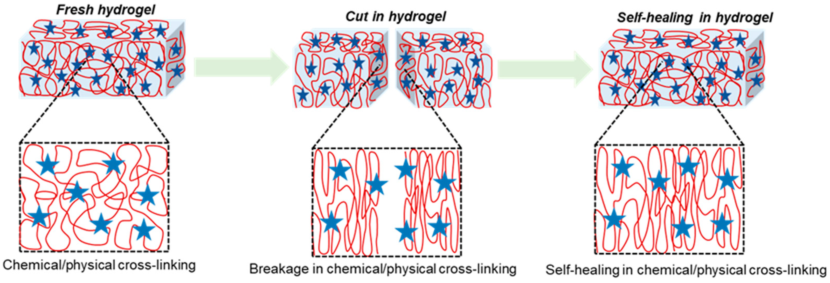 Polymers 16 01878 g002