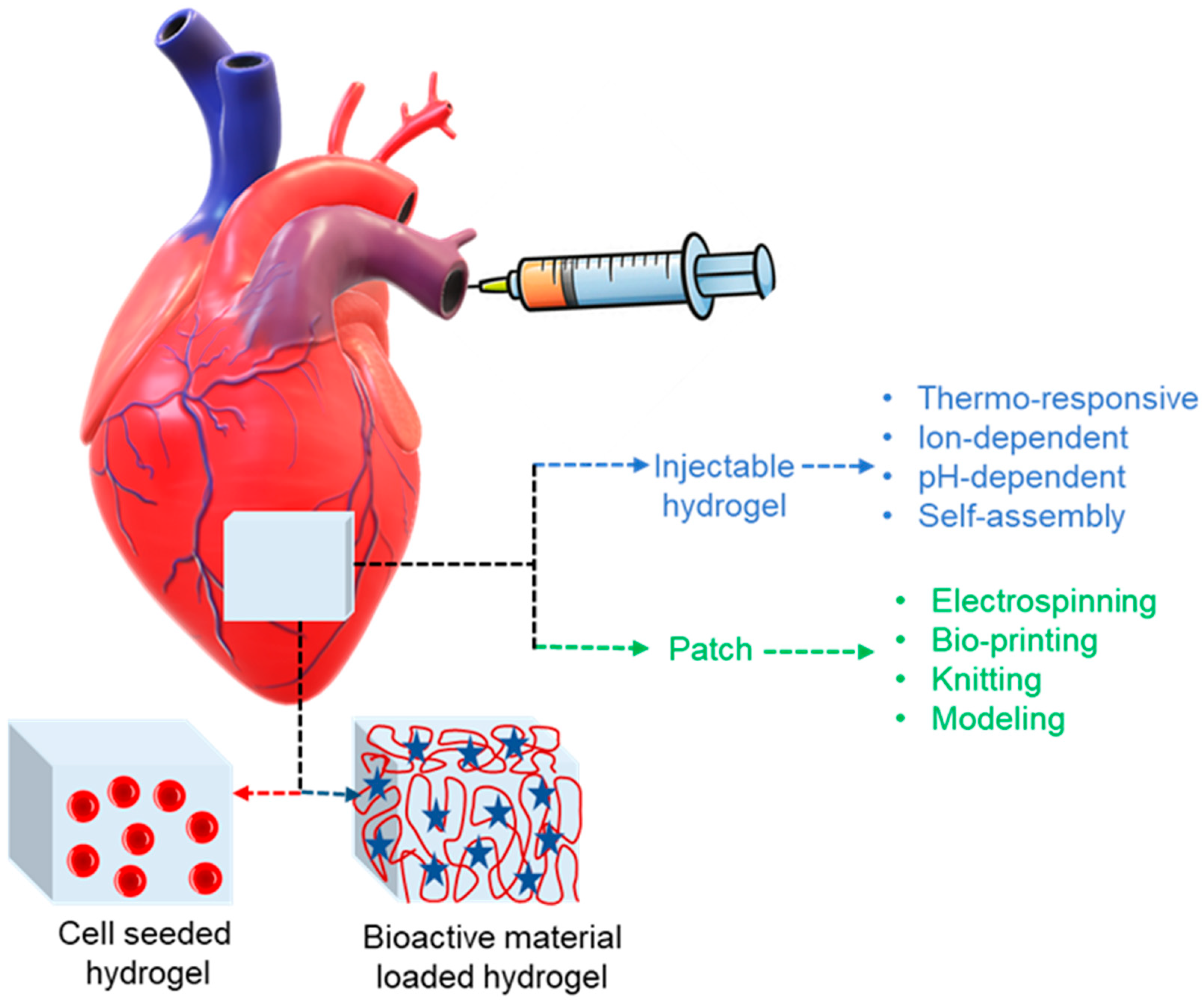 Polymers 16 01878 g006