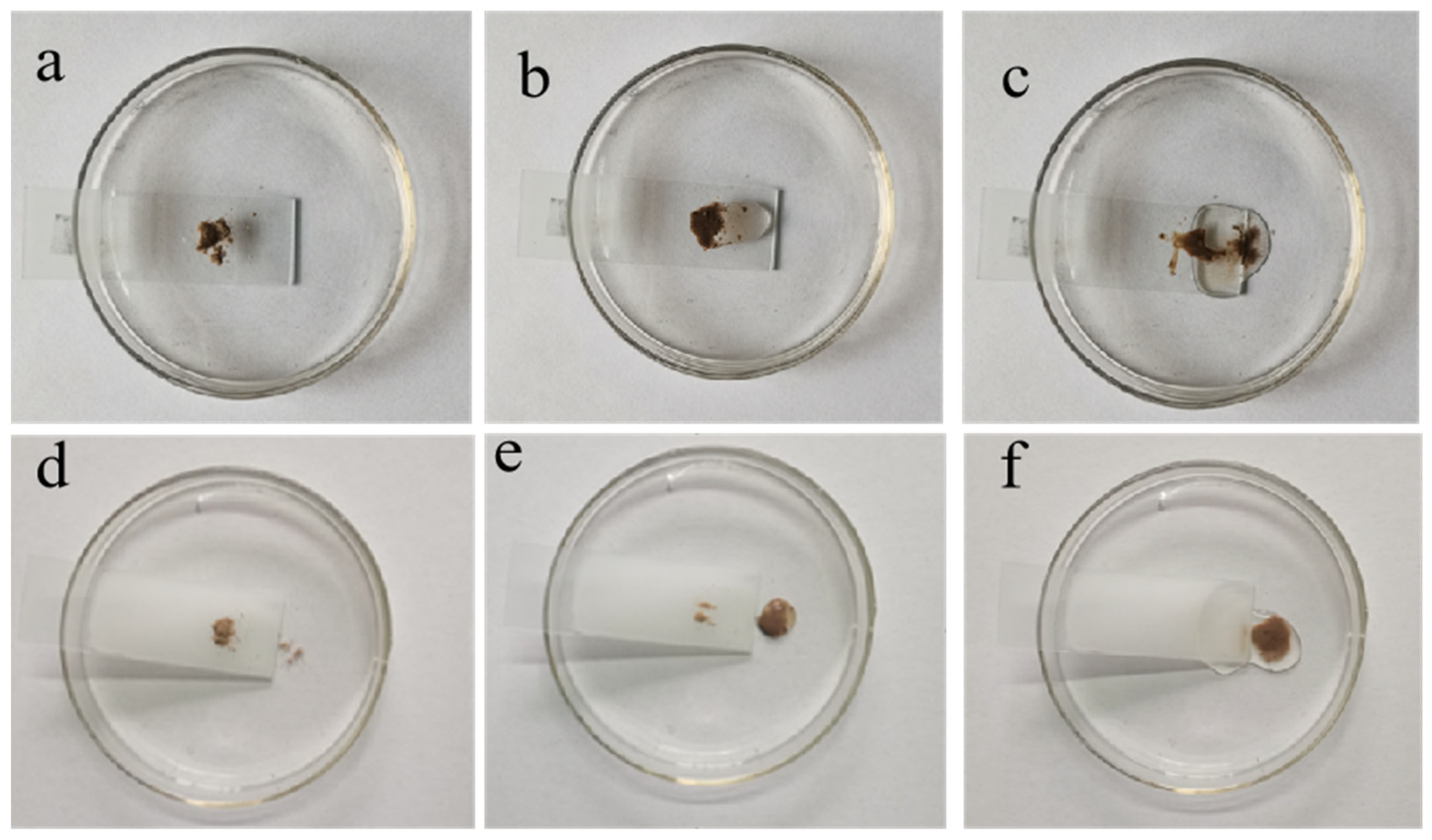Polymers 16 01885 g009