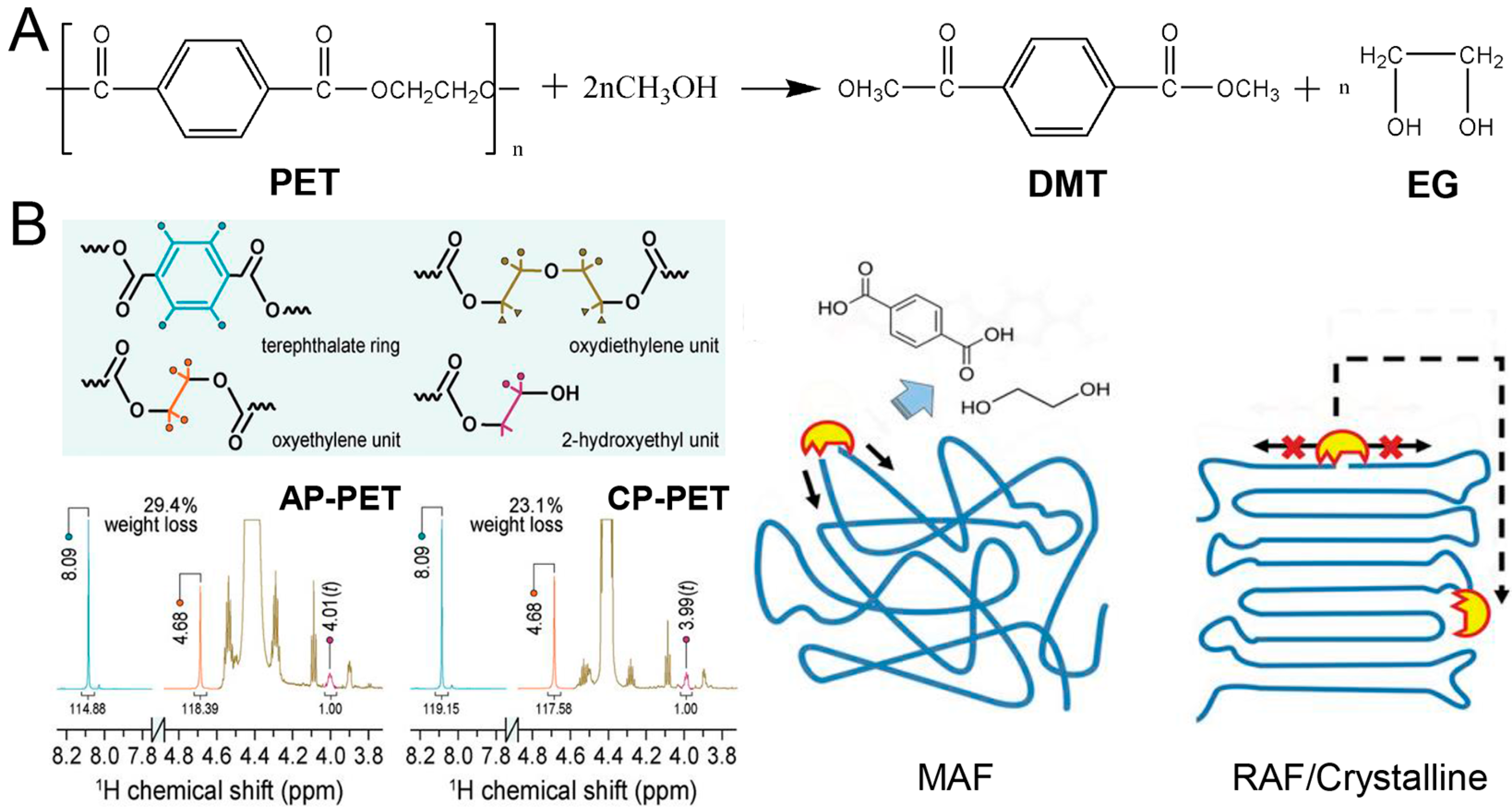 Polymers 16 01889 g004