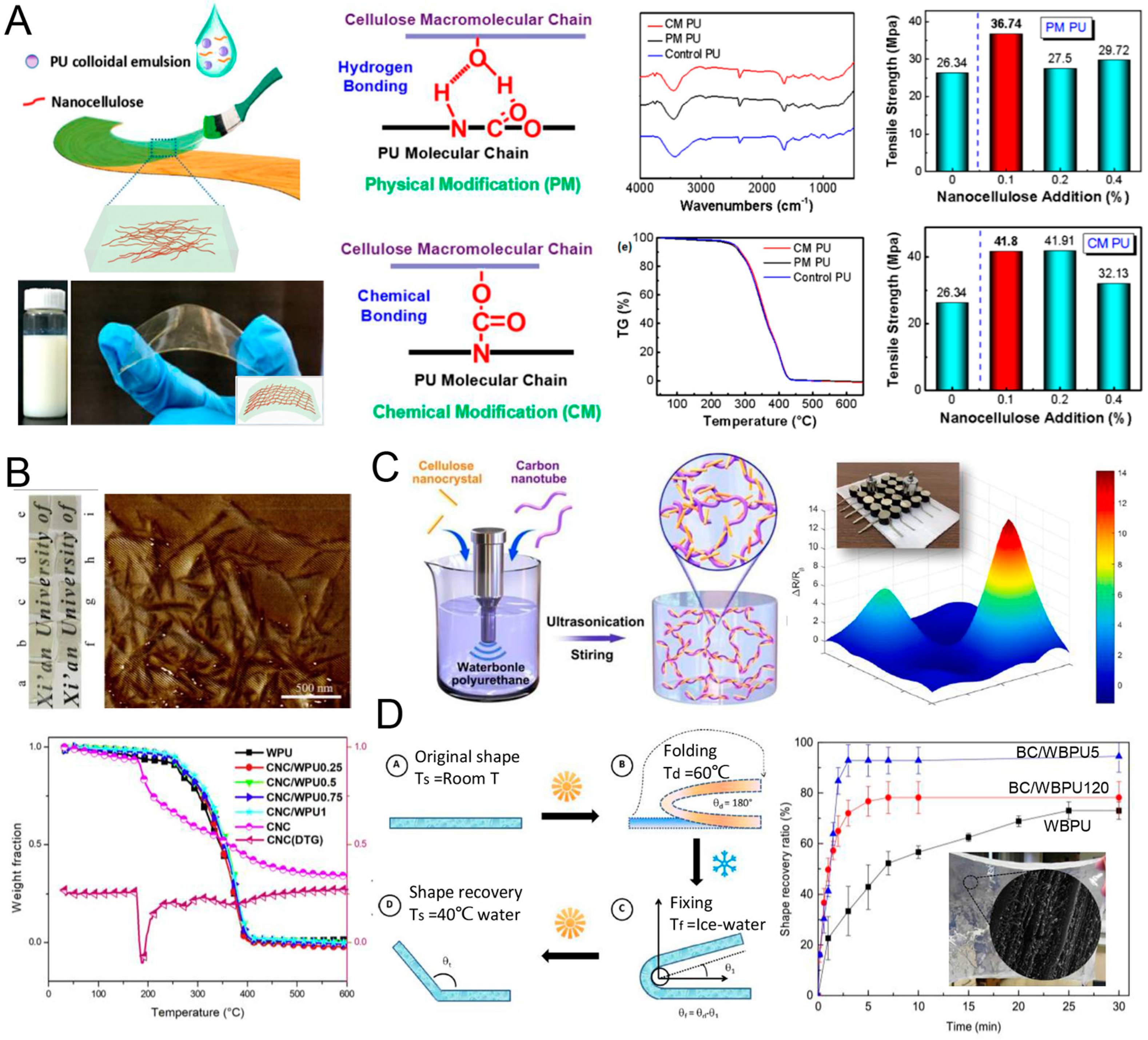 Polymers 16 01889 g009