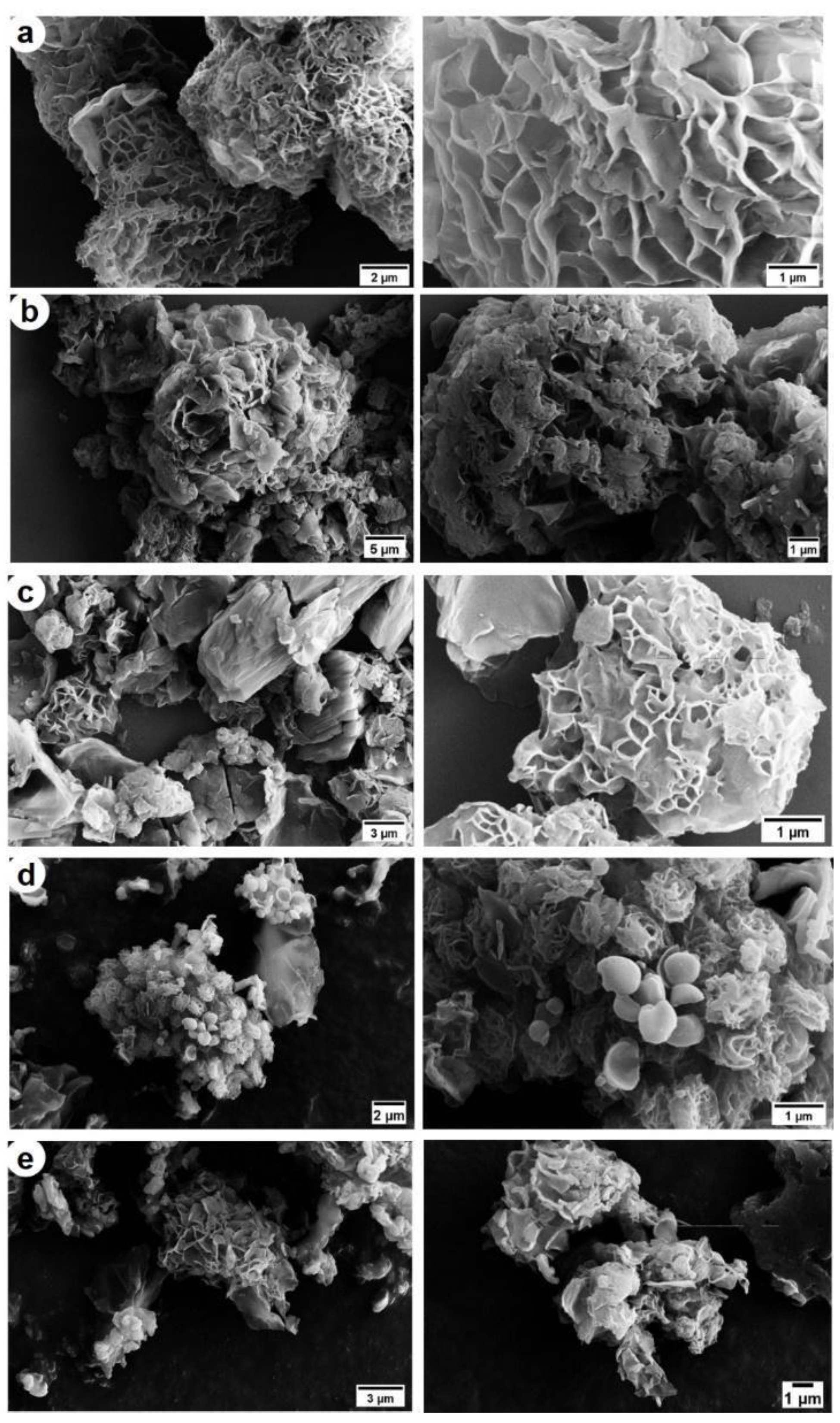 Polymers 16 01890 g002