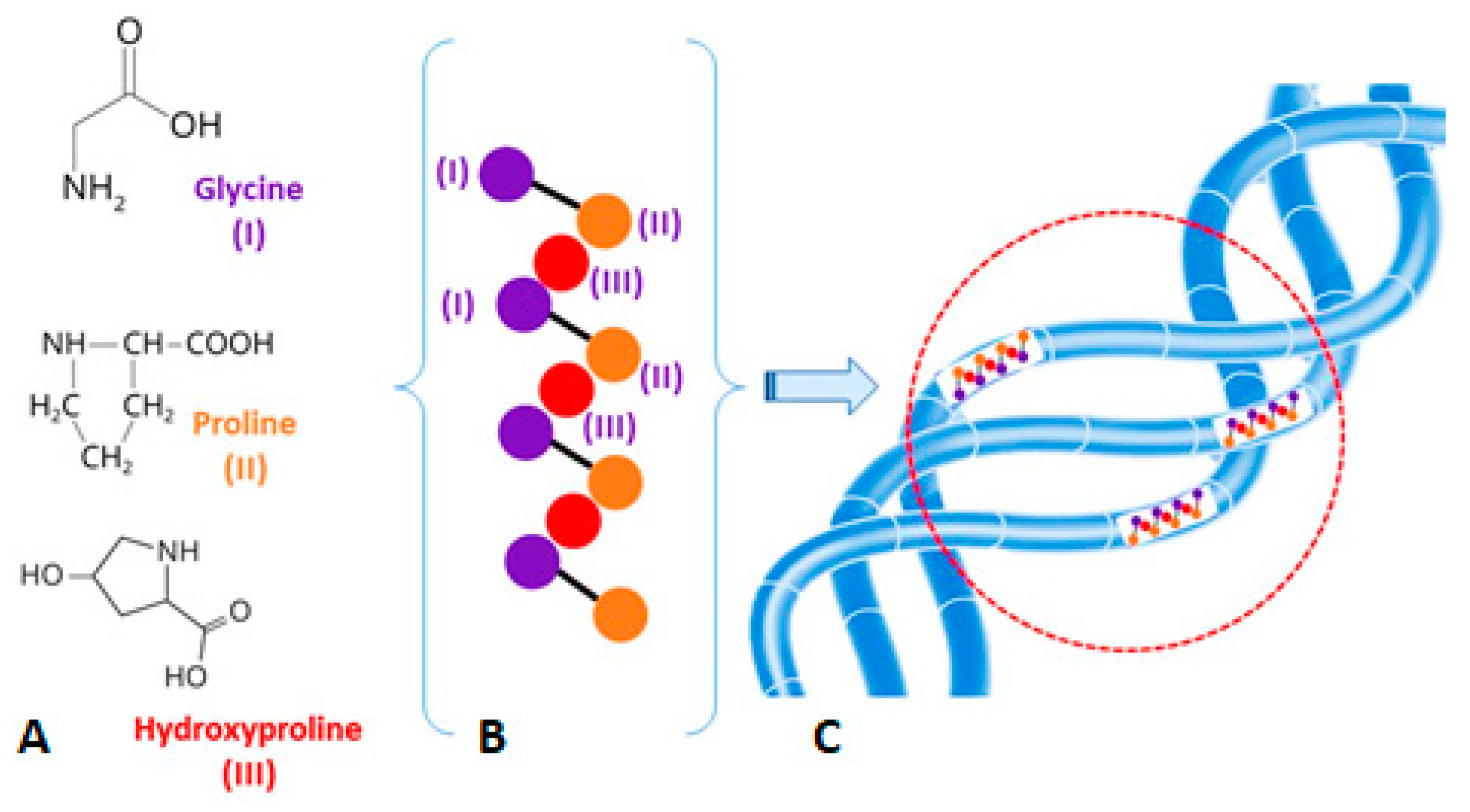 Polymers 16 01895 g001