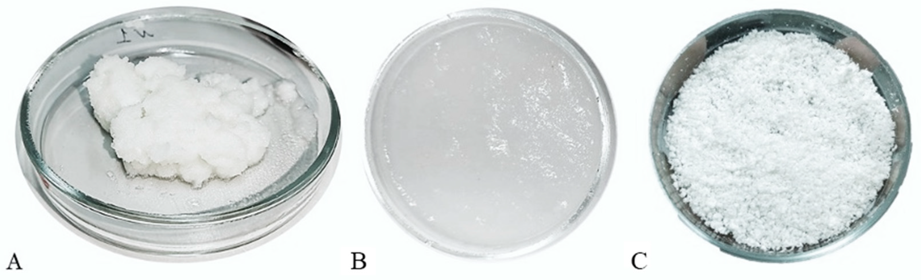 Polymers 16 01895 g003