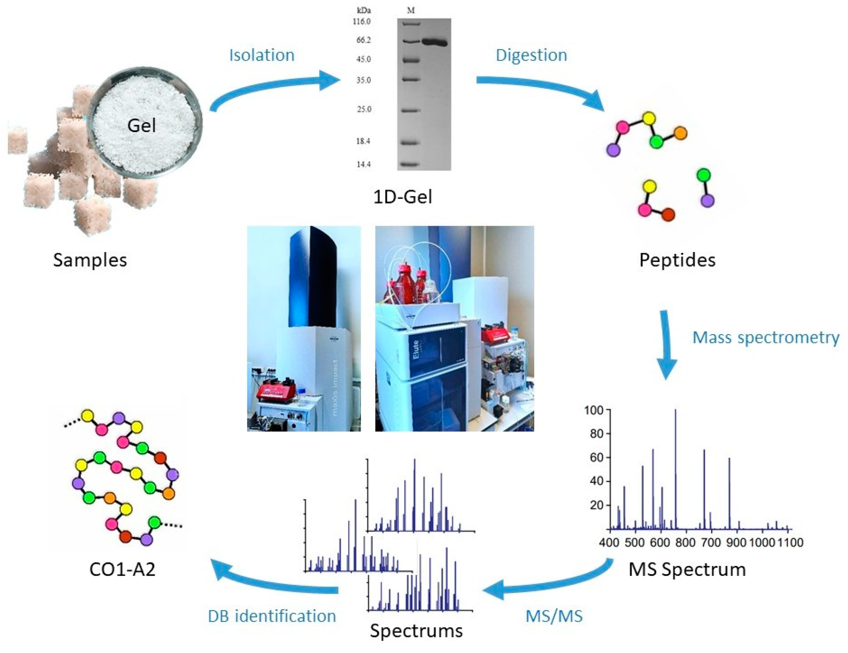 Polymers 16 01895 g005