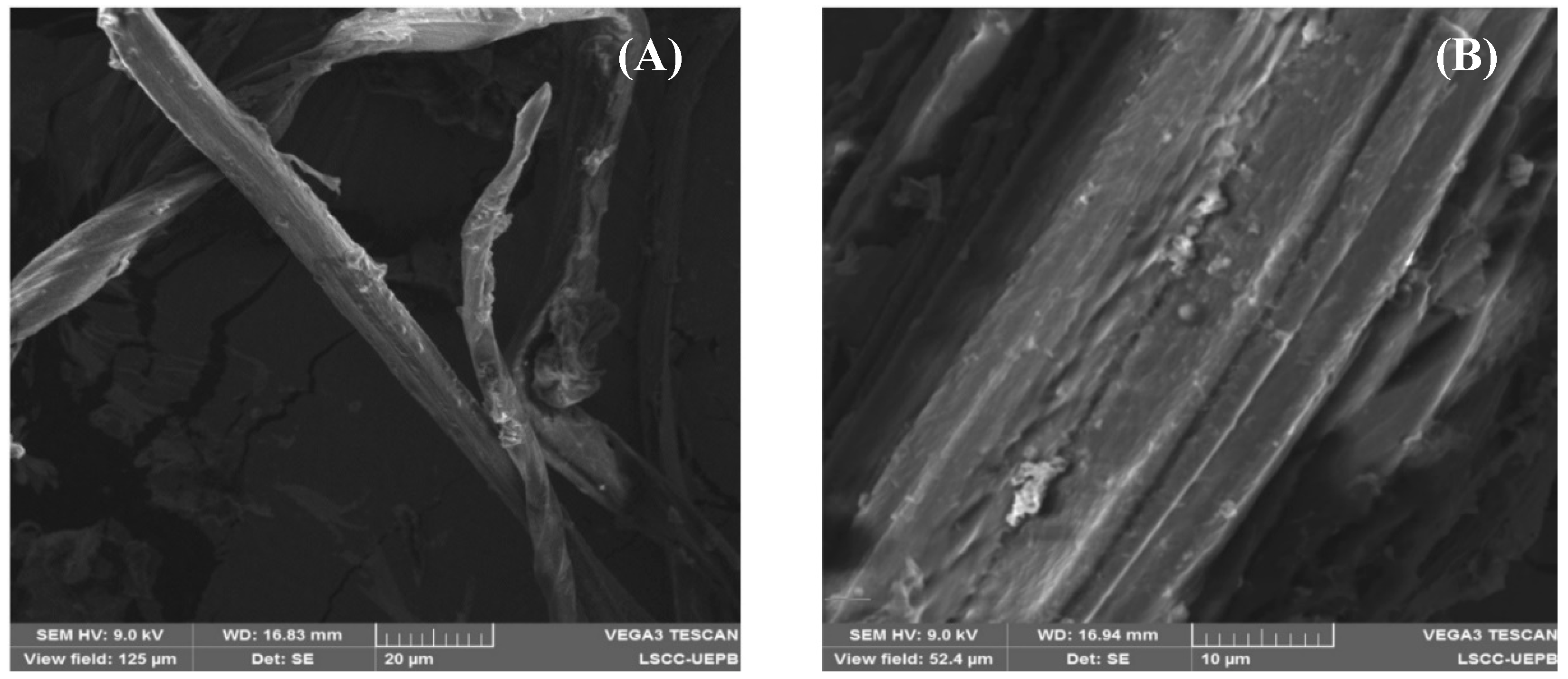 Polymers 16 01898 g003