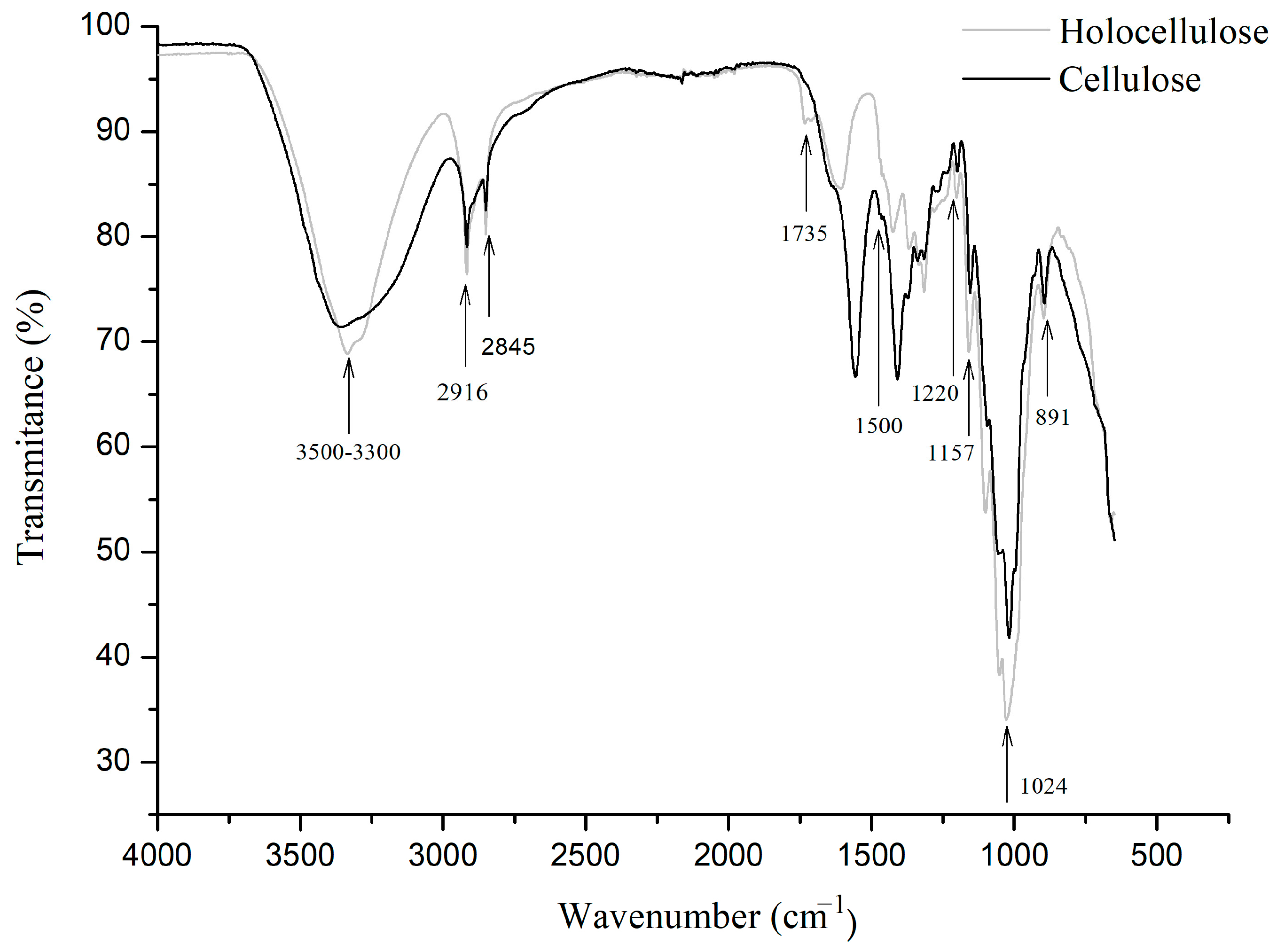 Polymers 16 01898 g008