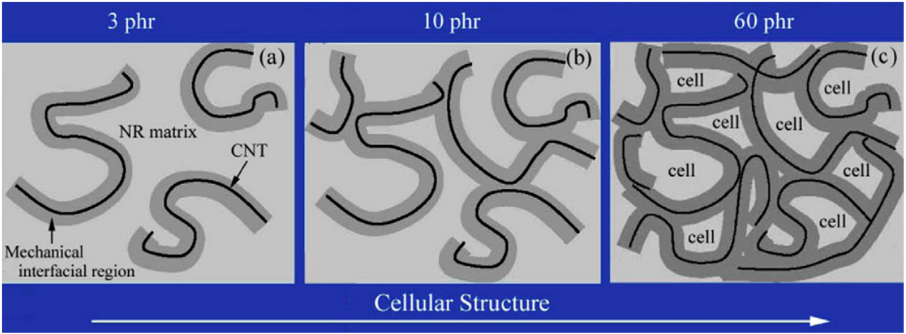 Polymers 16 01899 g012