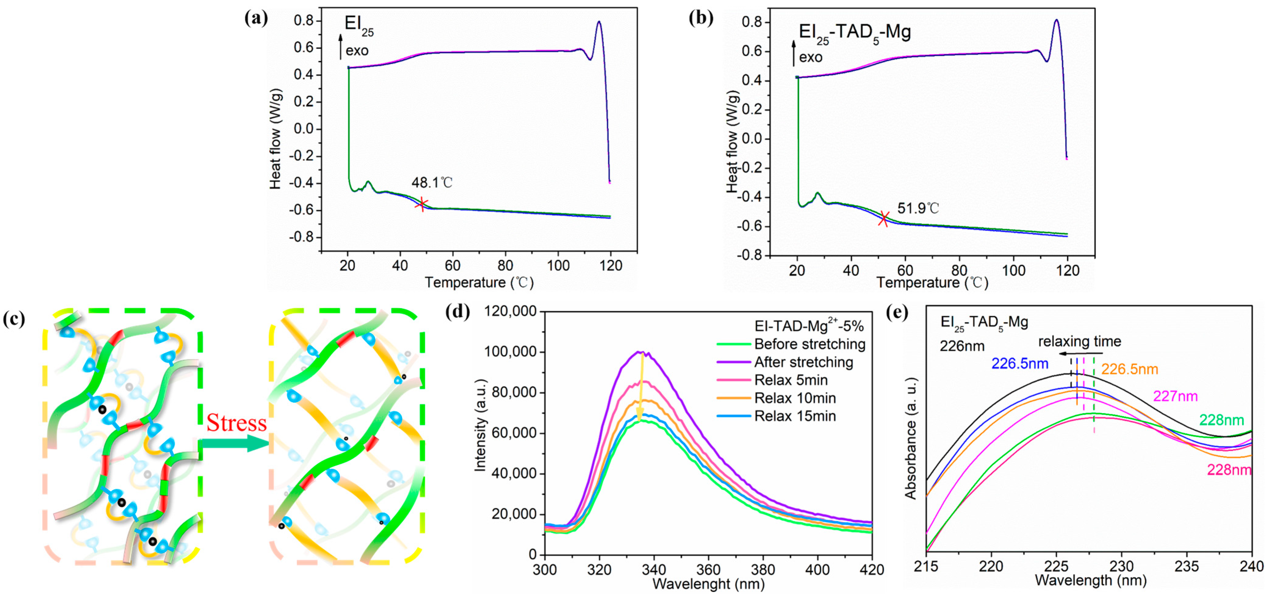 Polymers 16 01900 g008