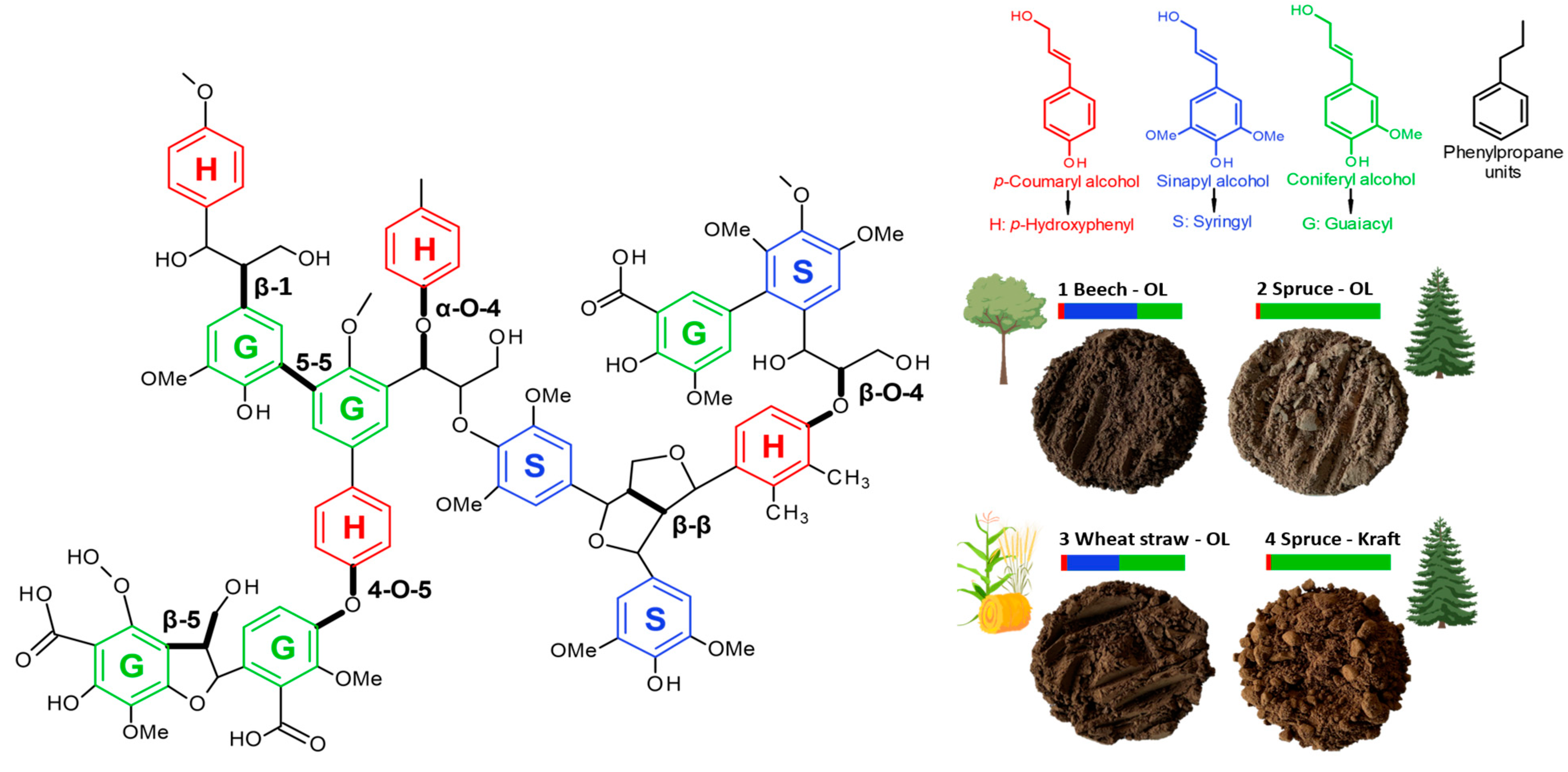 Polymers 16 01901 g001