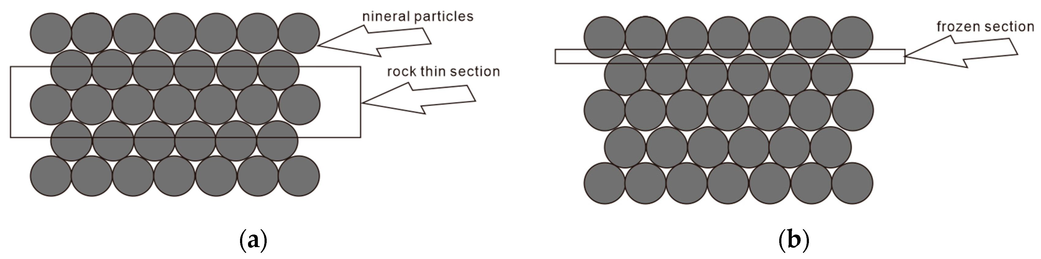 Polymers 16 01902 g001