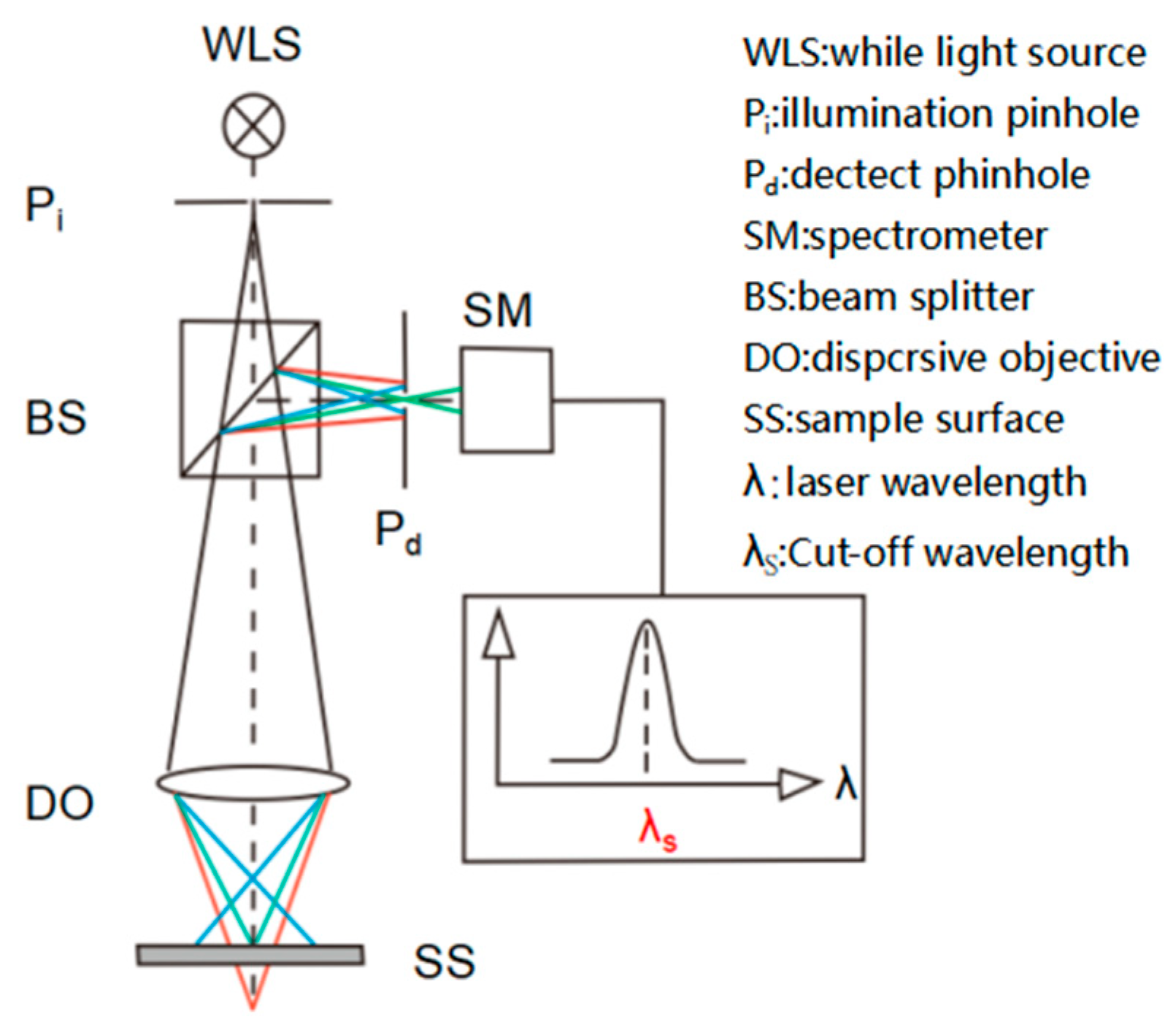 Polymers 16 01902 g002