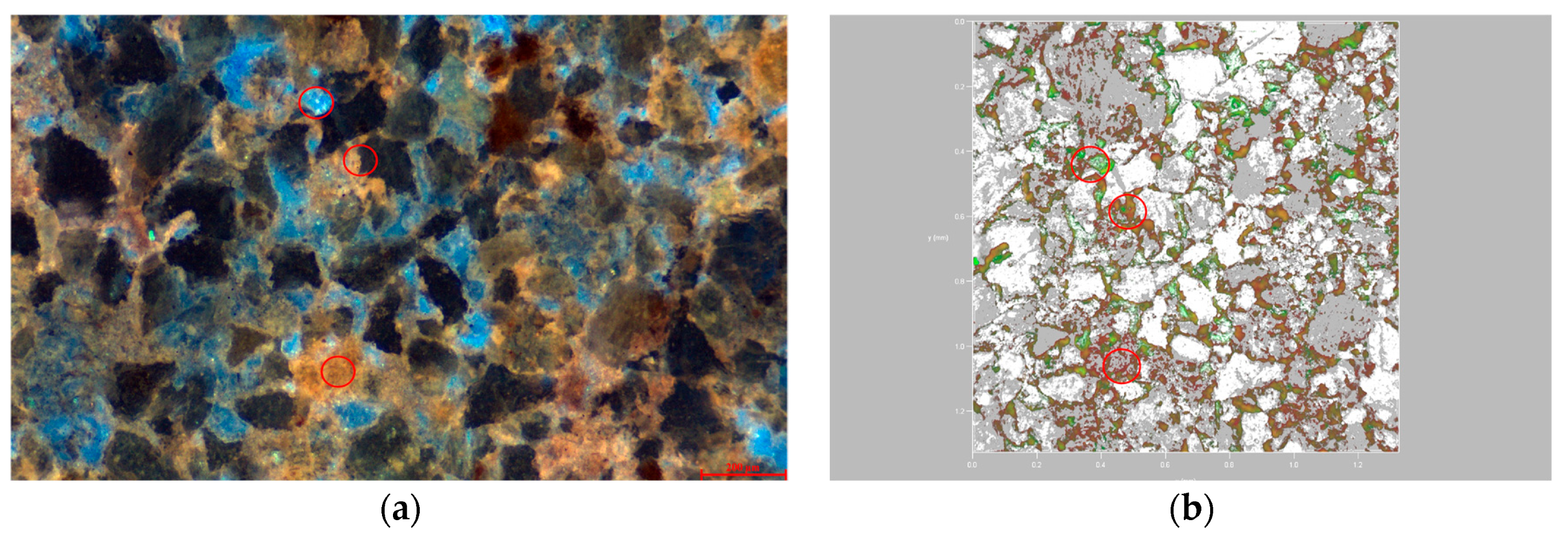 Polymers 16 01902 g009