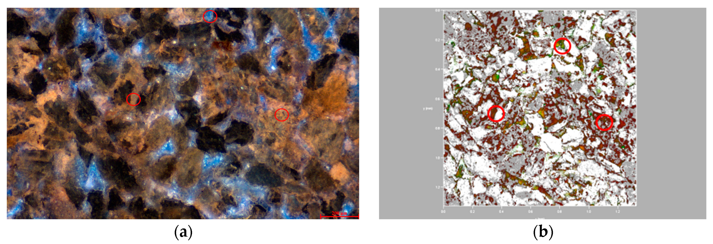 Polymers 16 01902 g010