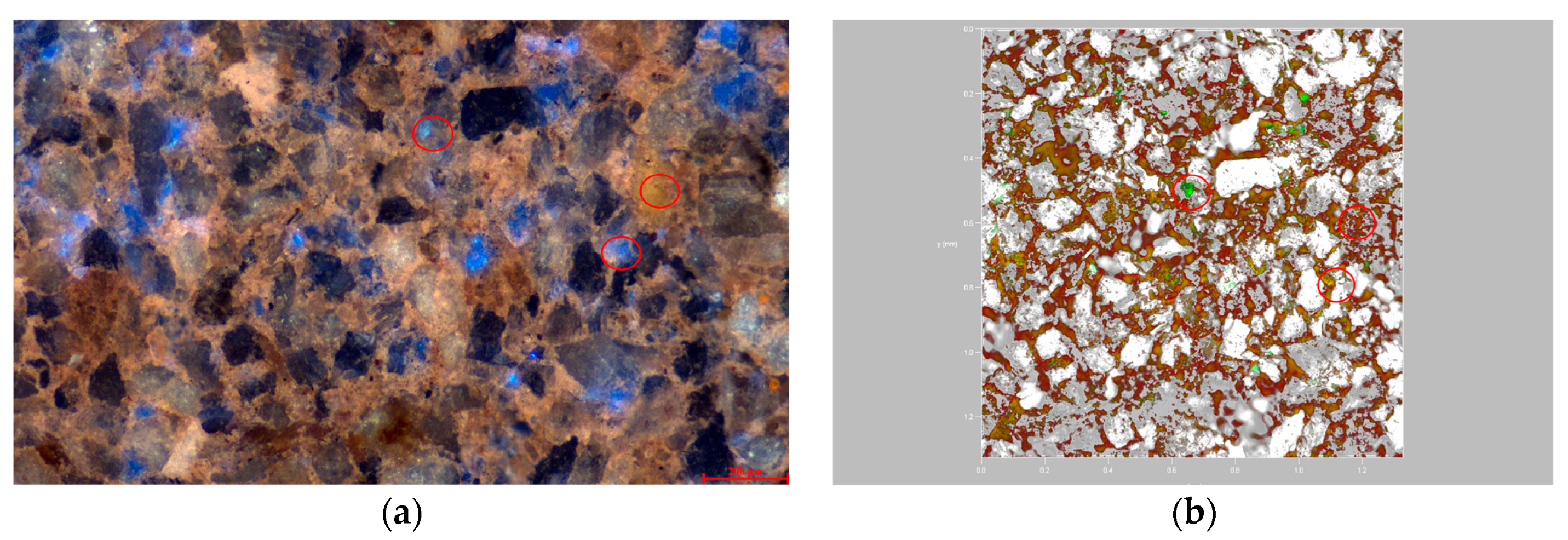Polymers 16 01902 g011