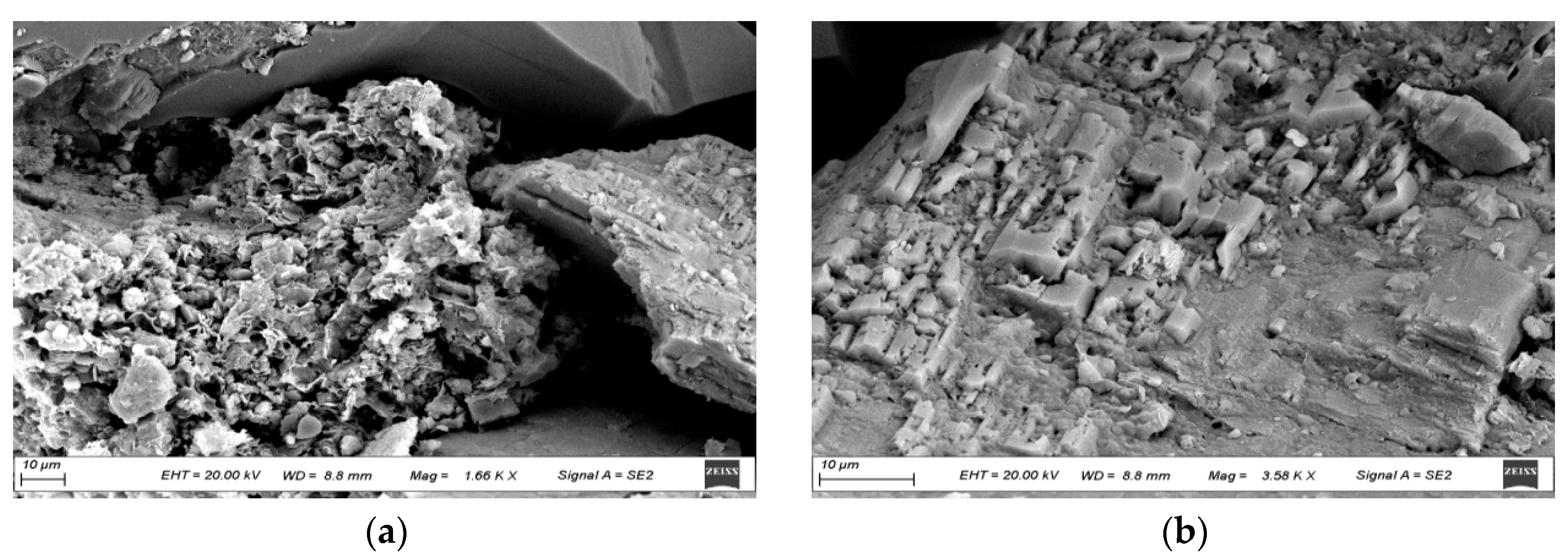 Polymers 16 01902 g012a