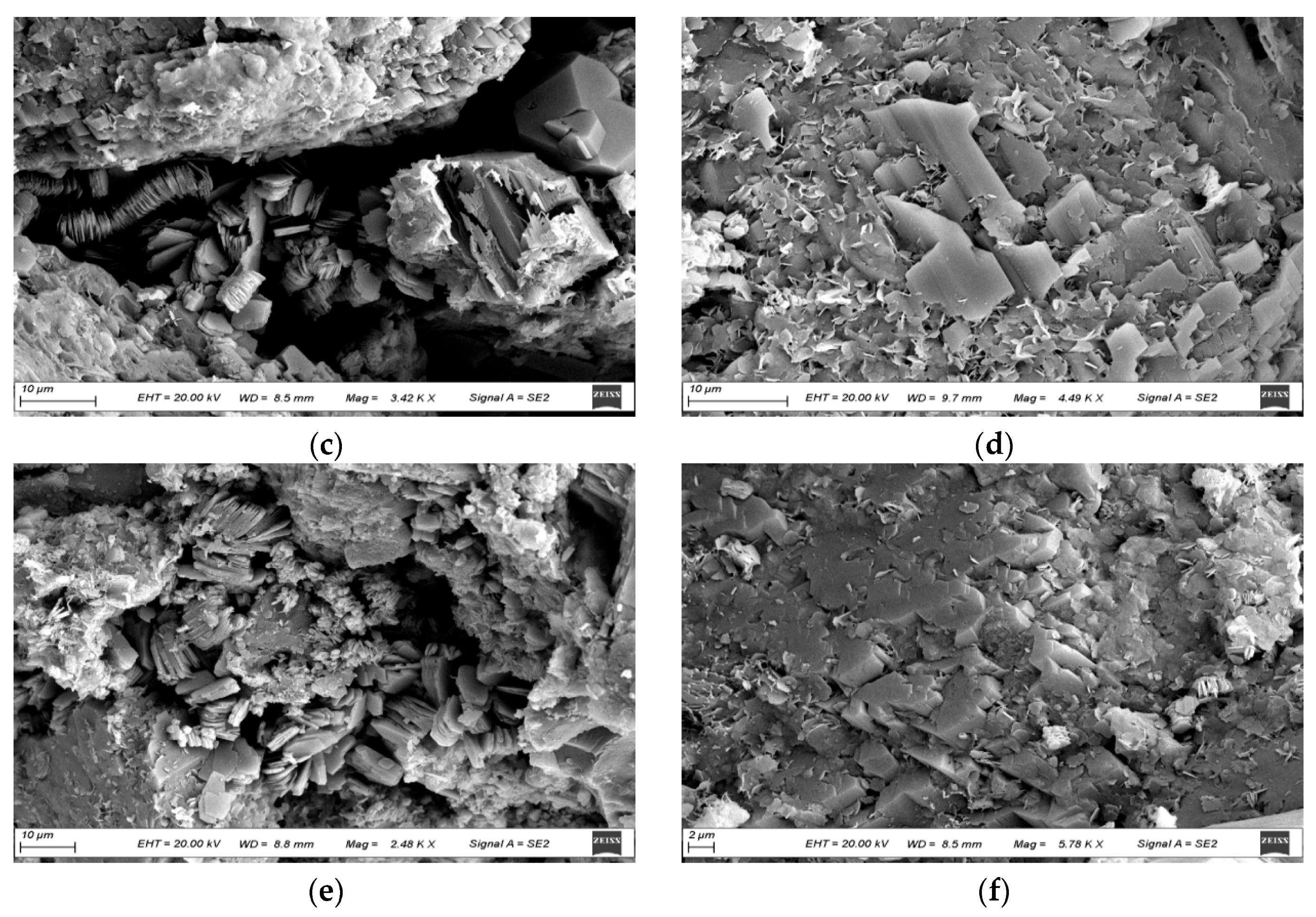 Polymers 16 01902 g012b