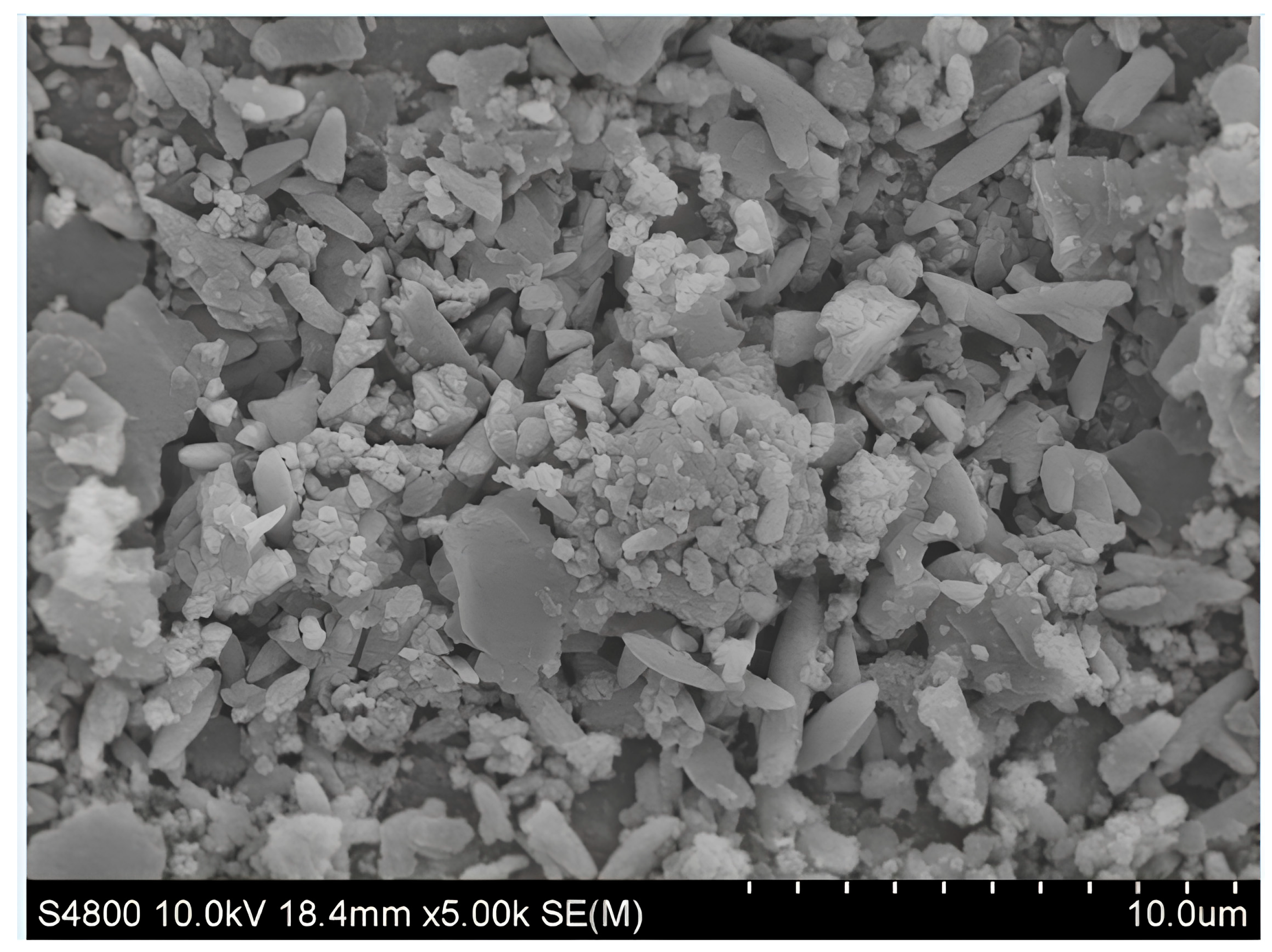 Polymers 16 01903 g002