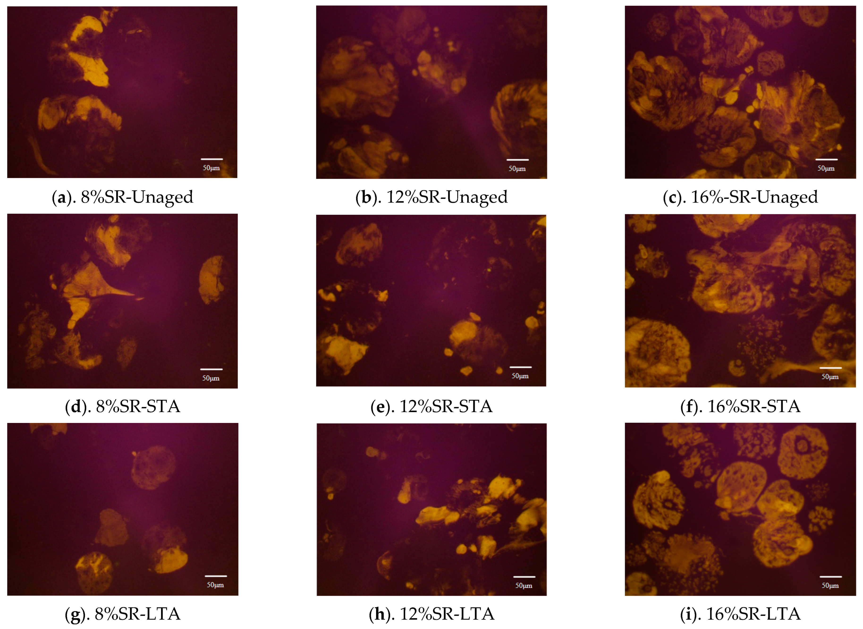 Polymers 16 01903 g013