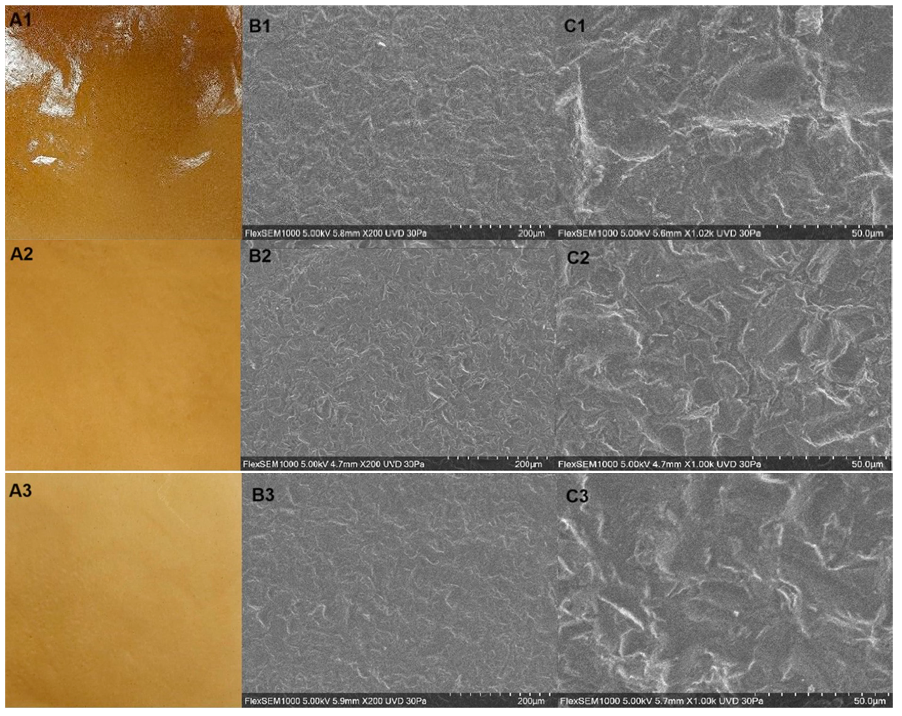 Polymers 16 01905 g001a