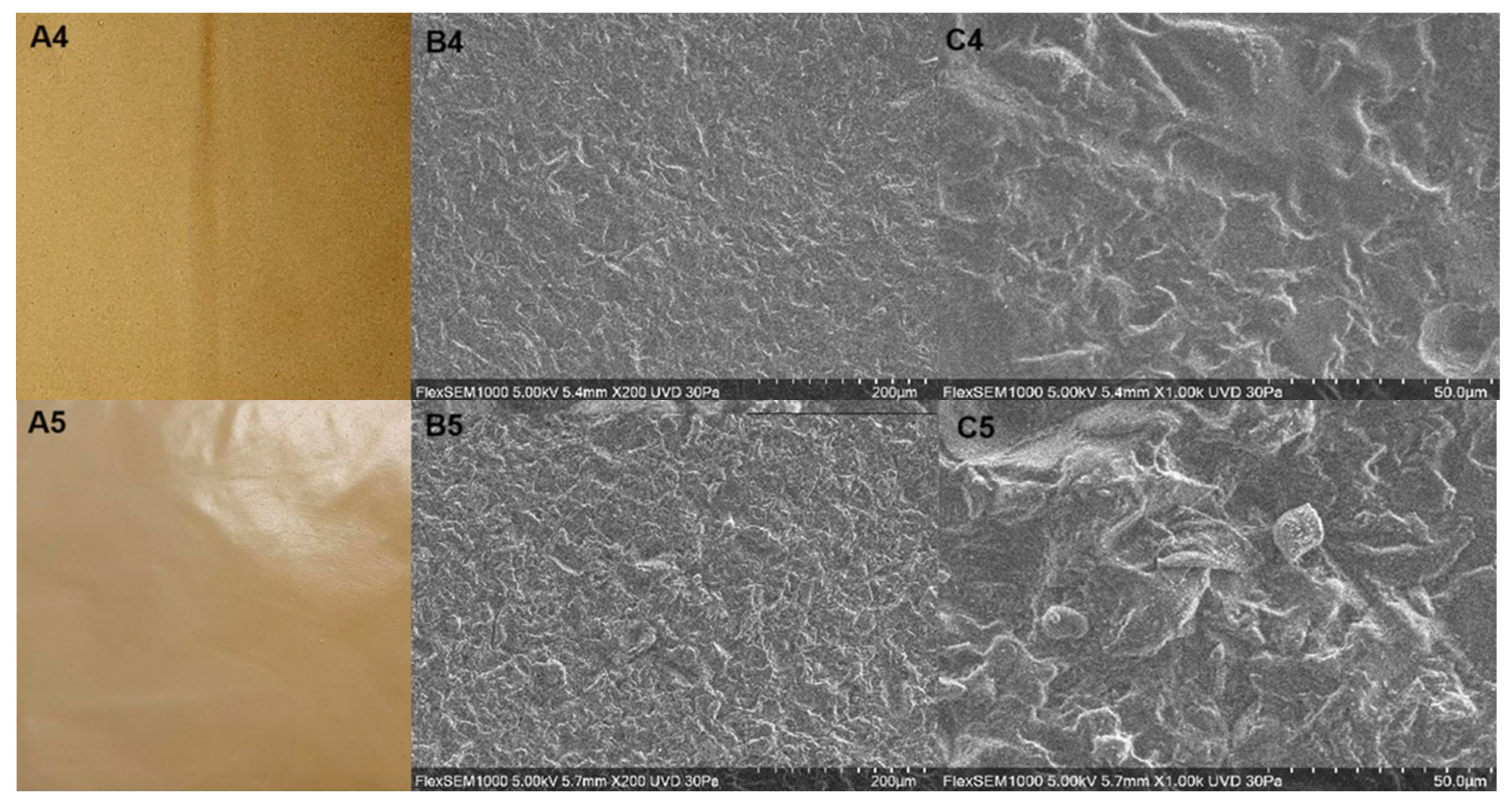 Polymers 16 01905 g001b