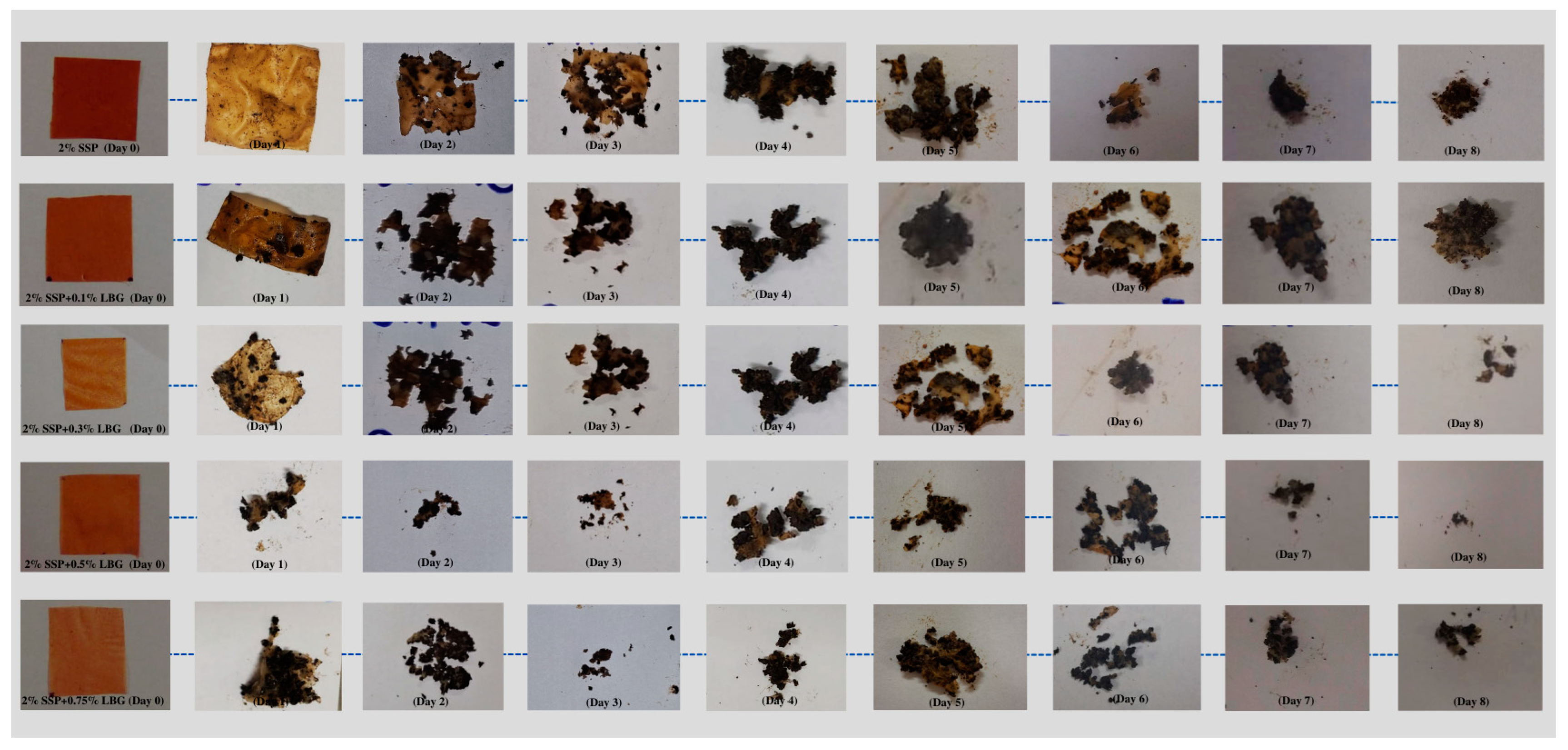 Polymers 16 01905 g006