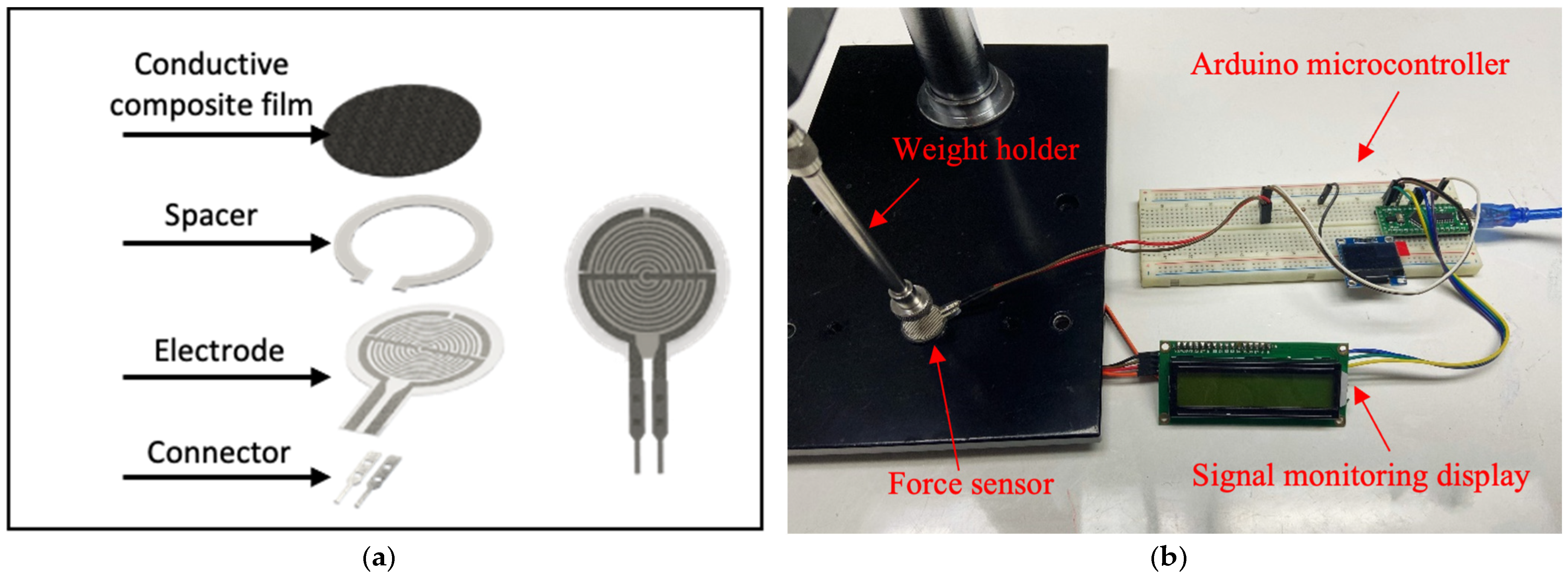 Polymers 16 01906 g001