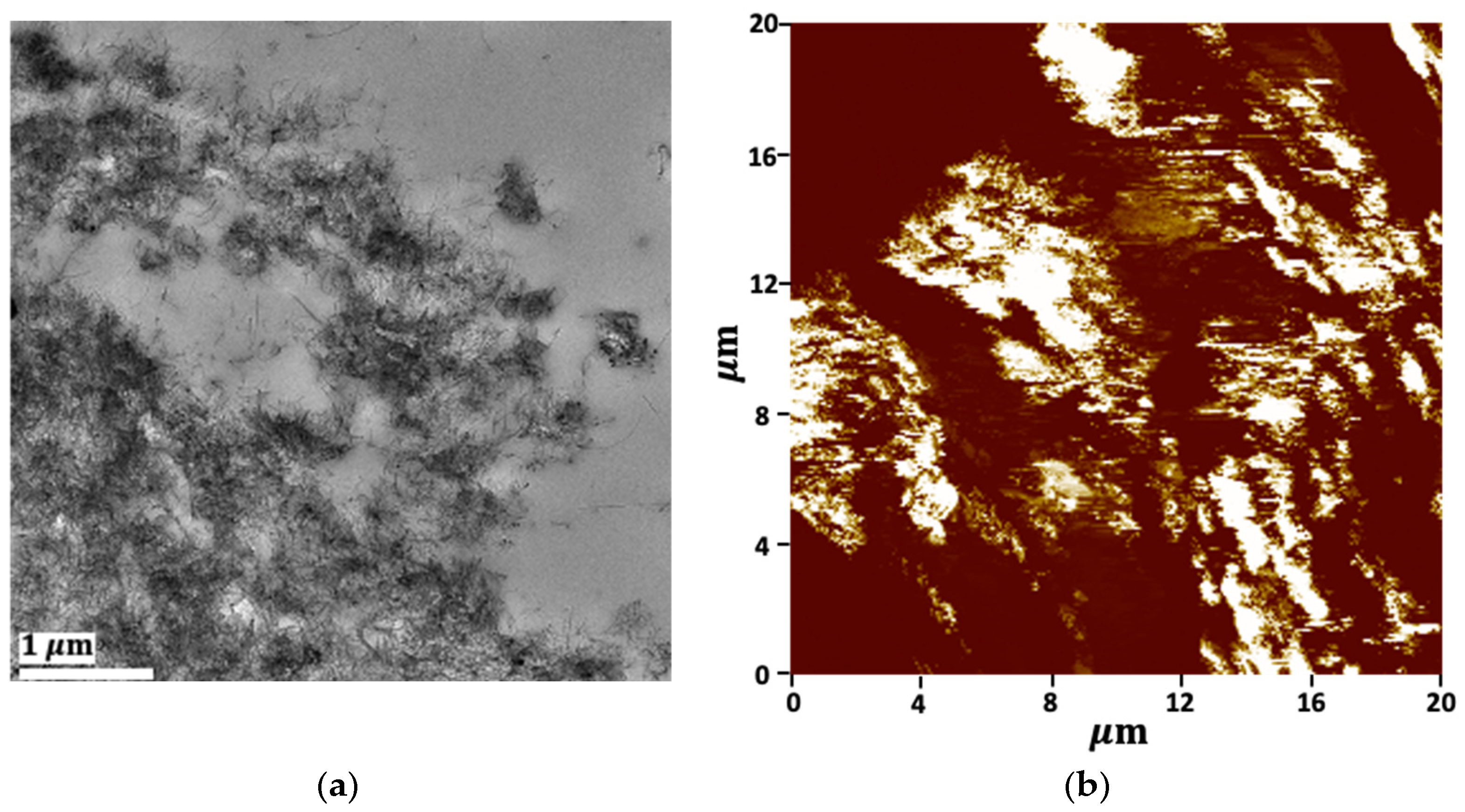 Polymers 16 01906 g004