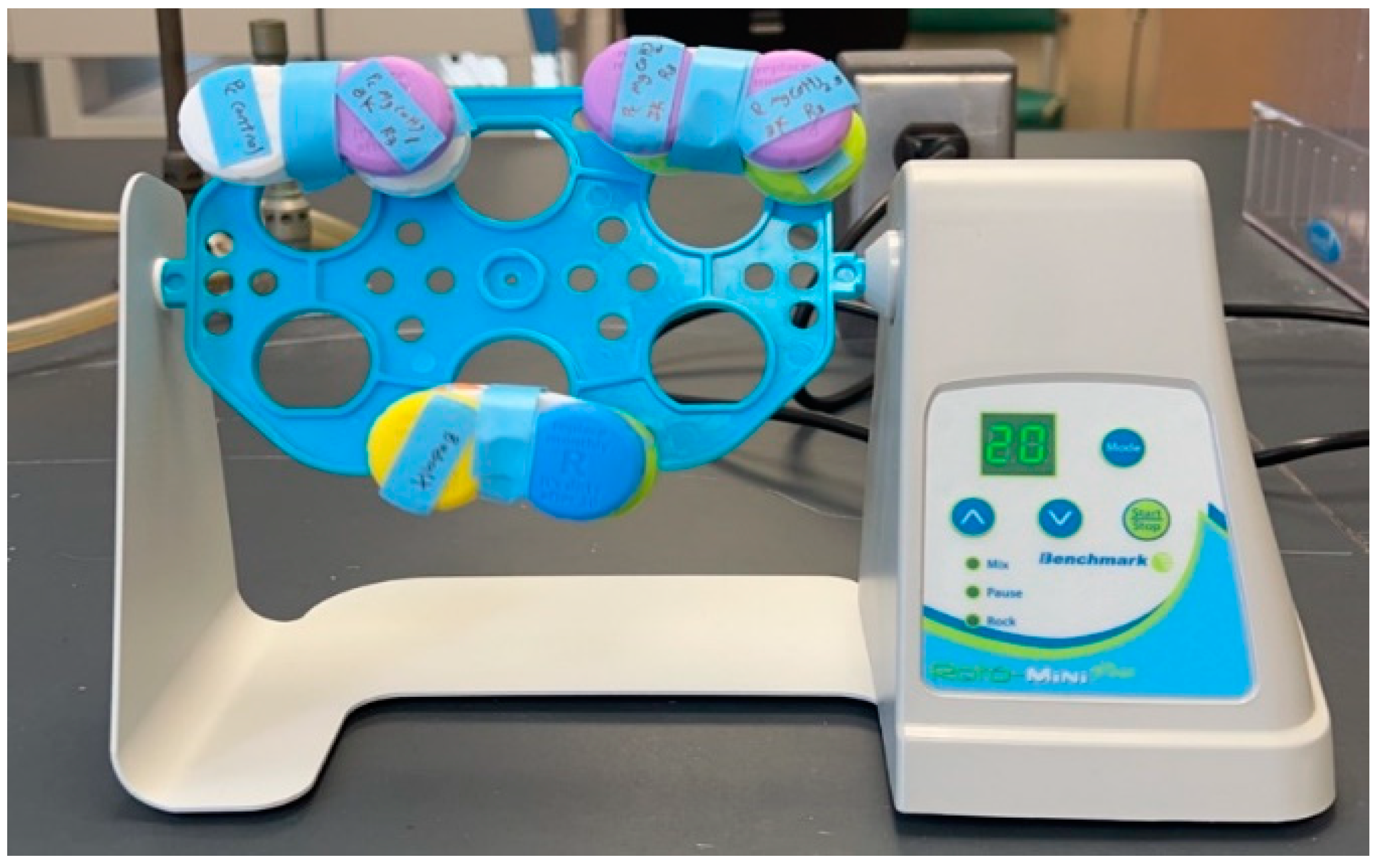 Polymers 16 01914 g005