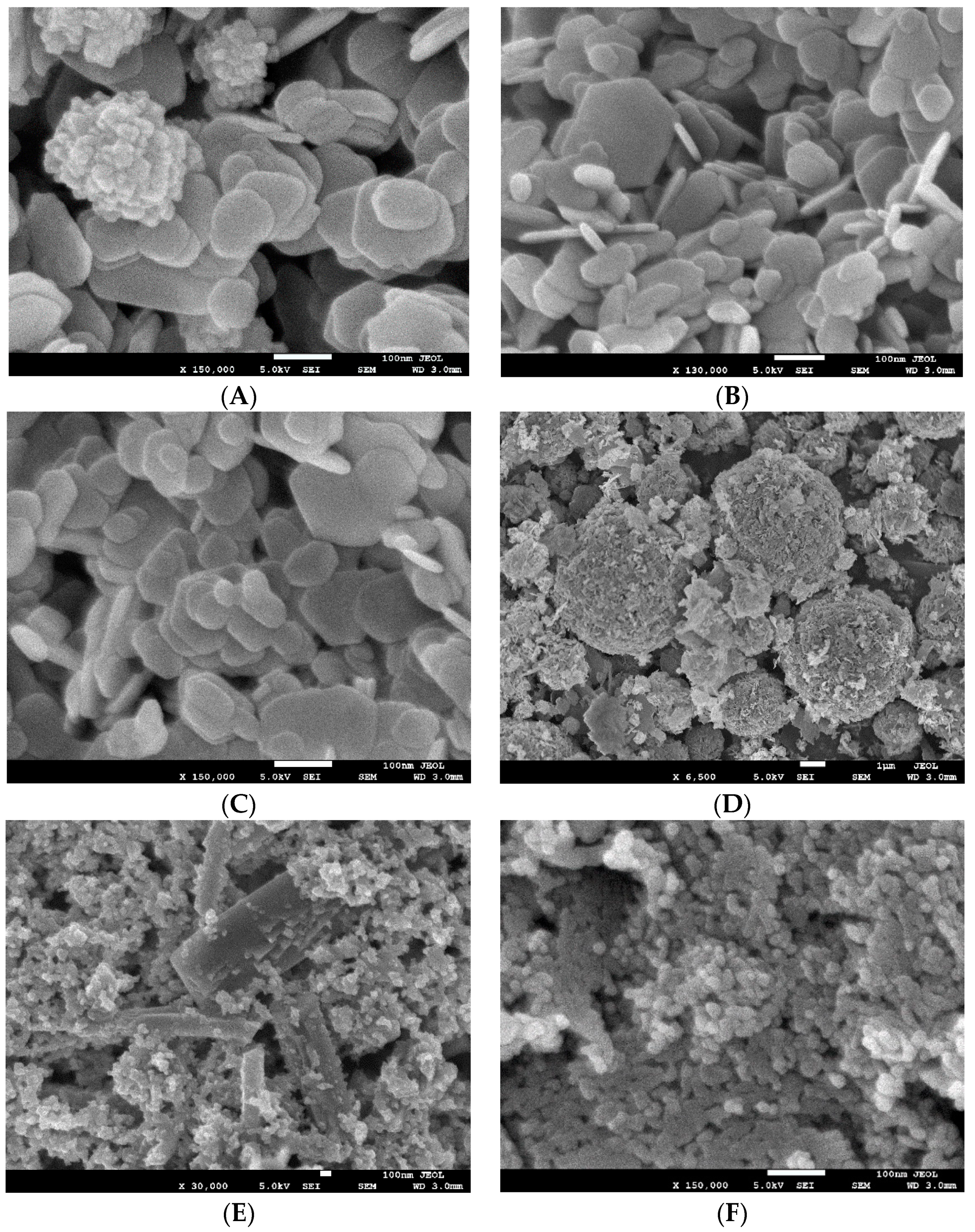 Polymers 16 01914 g006