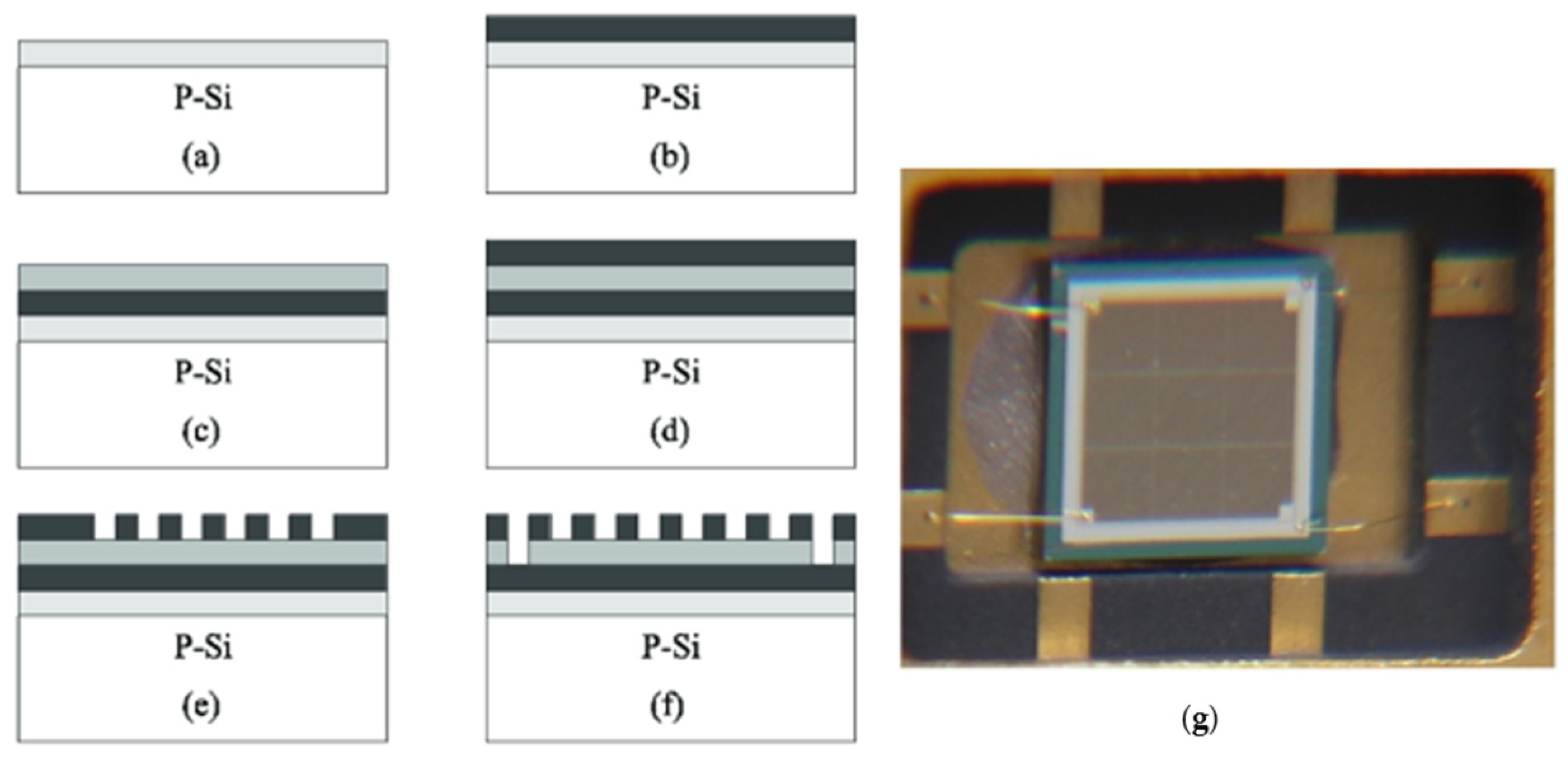 Polymers 16 01916 g007
