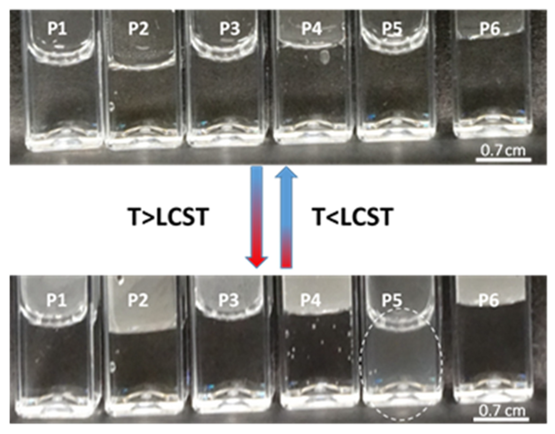 Polymers 16 01917 g010