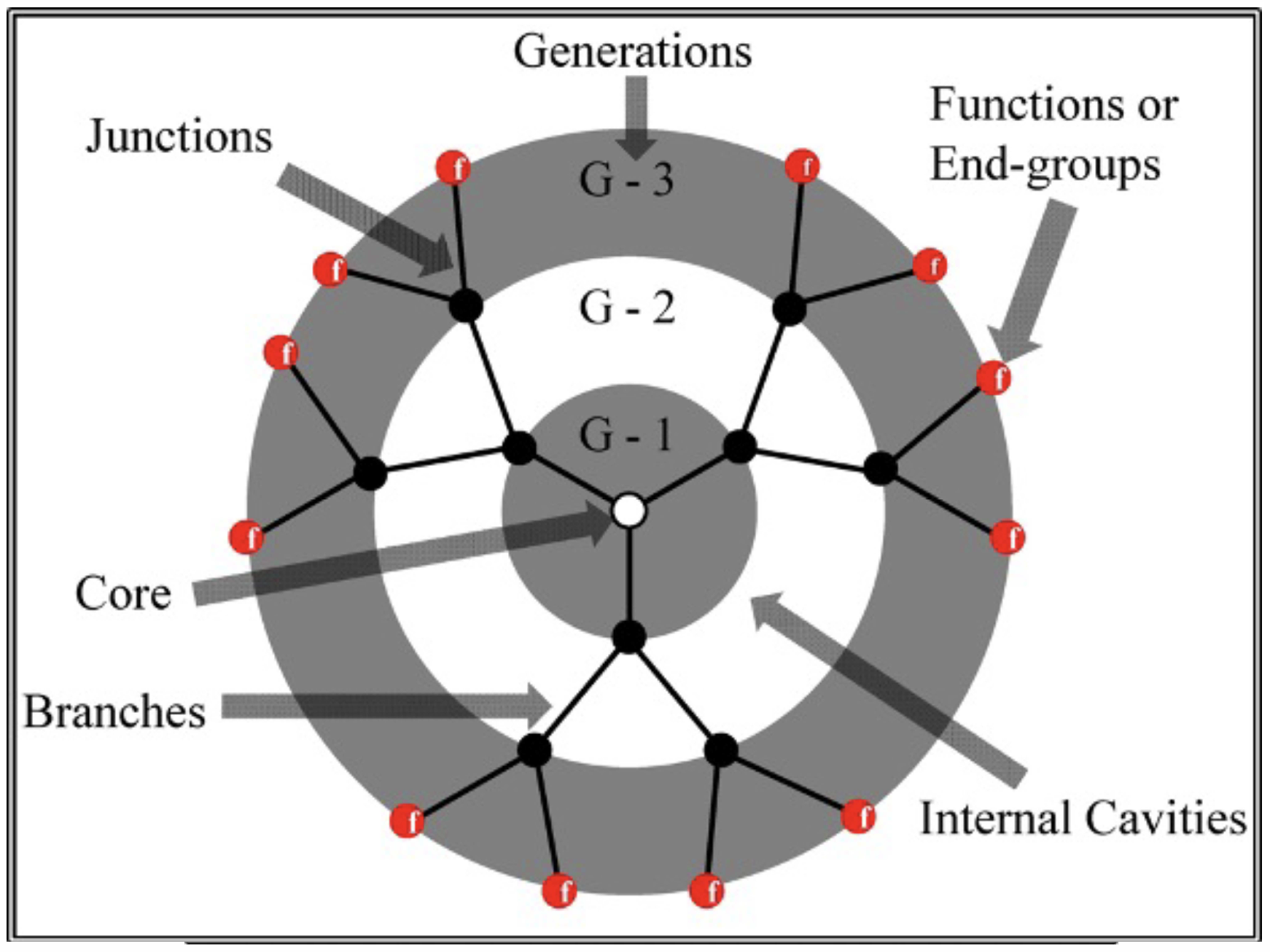 Polymers 16 01918 g001