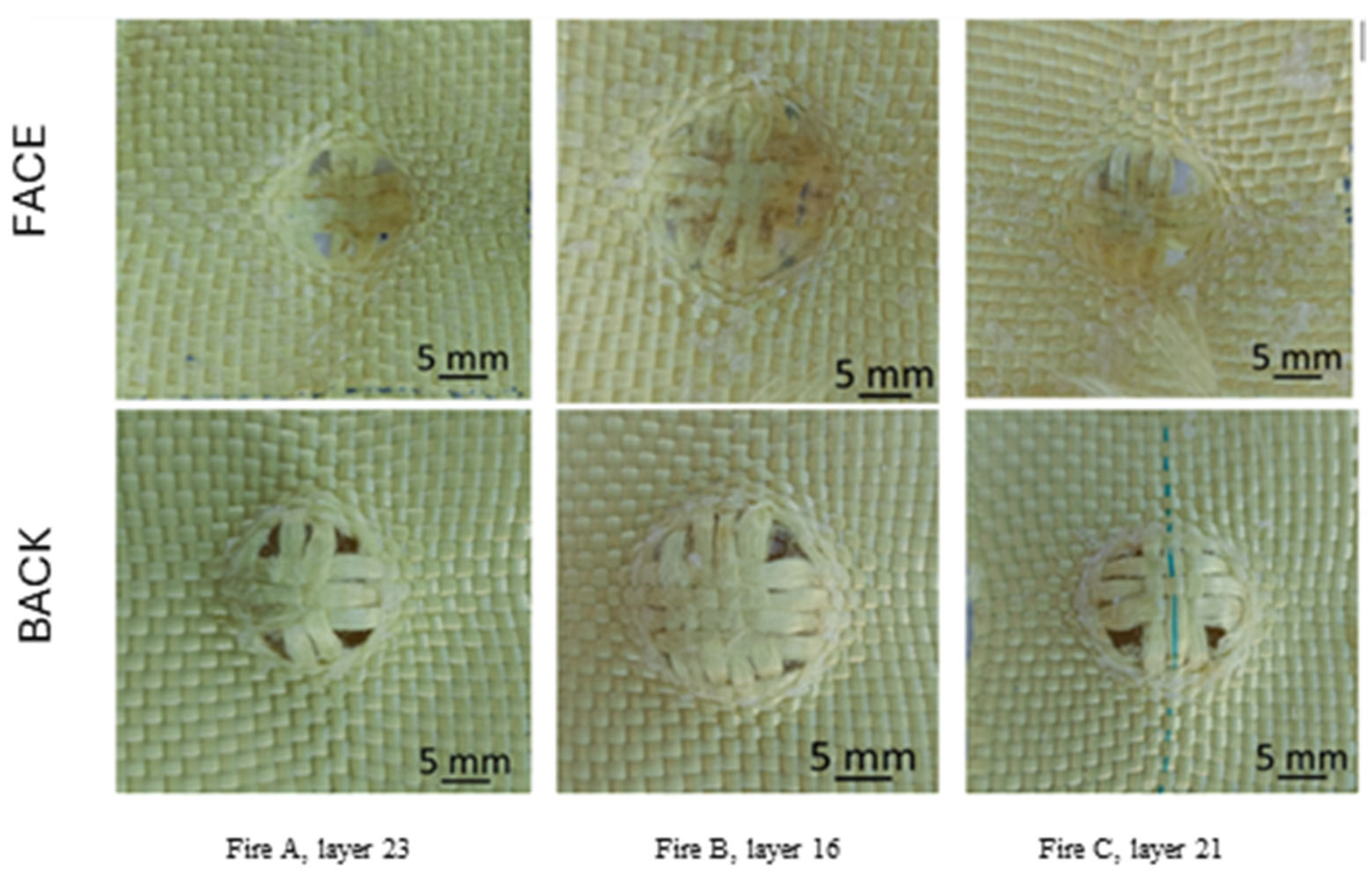 Polymers 16 01920 g007