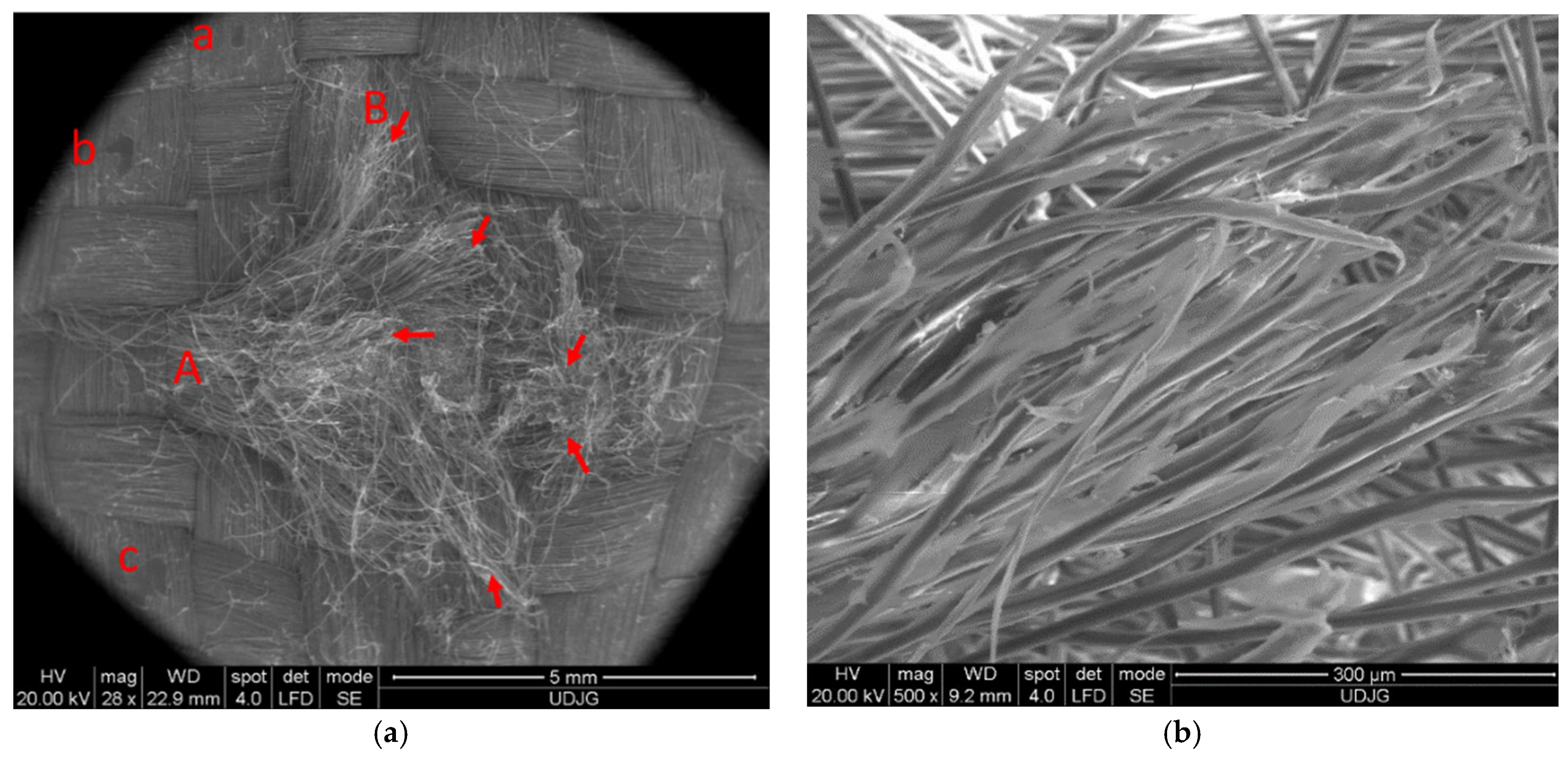 Polymers 16 01920 g008