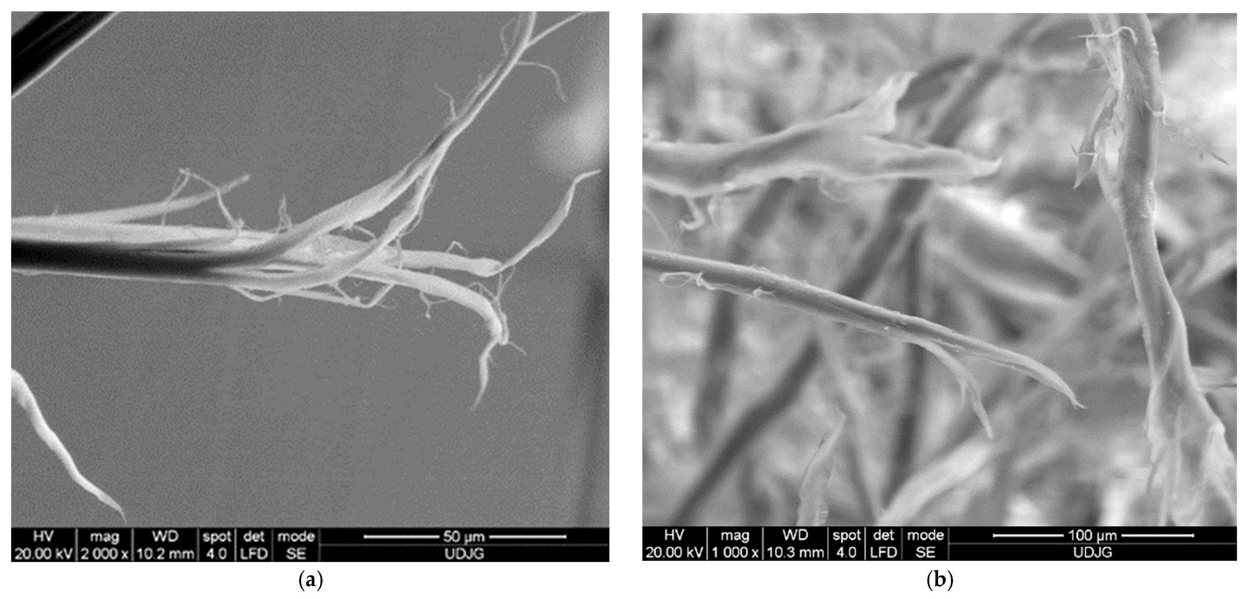 Polymers 16 01920 g012a