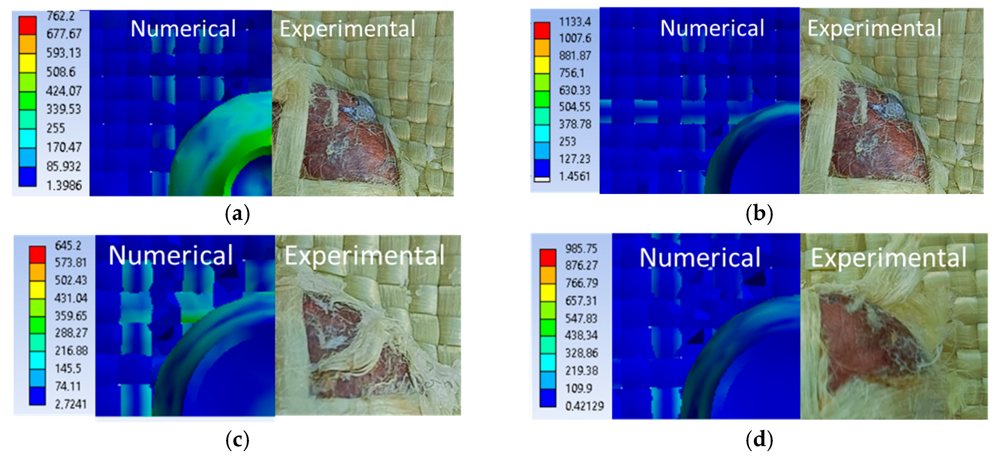 Polymers 16 01920 g023