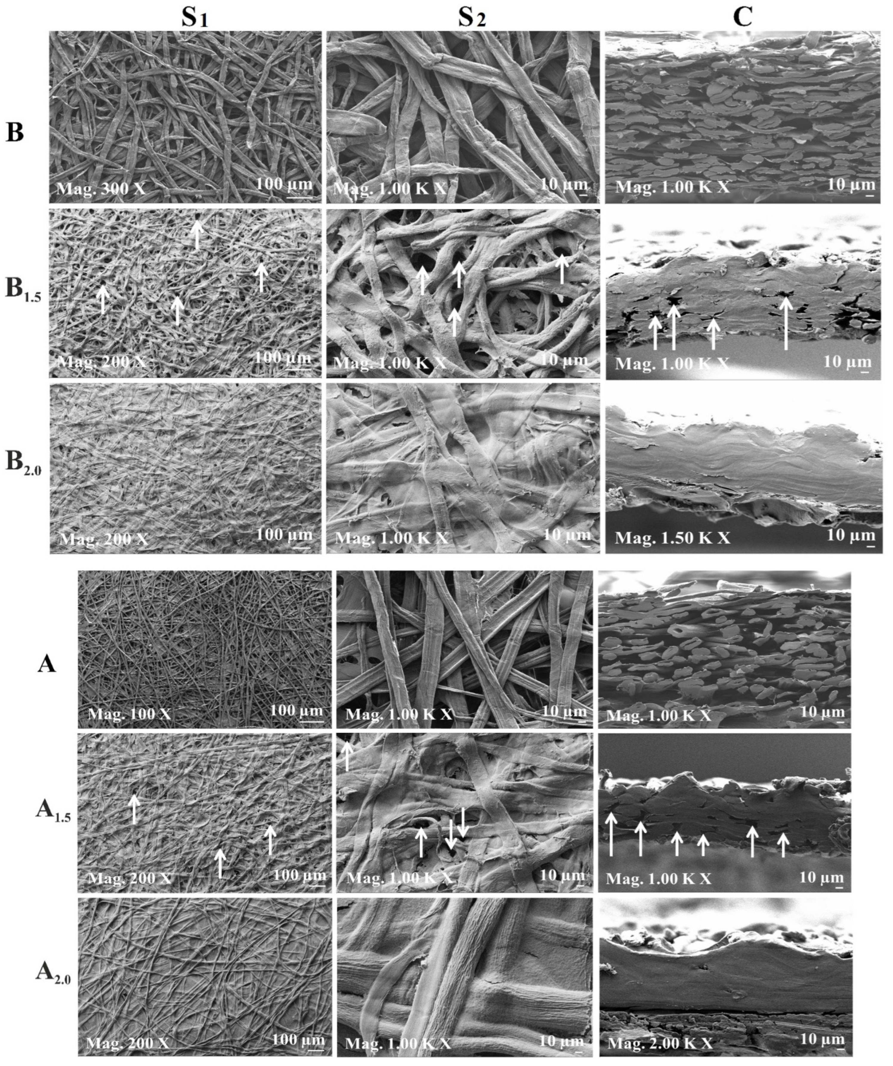 Polymers 16 01921 g002a Polymers 16 01921 g002a