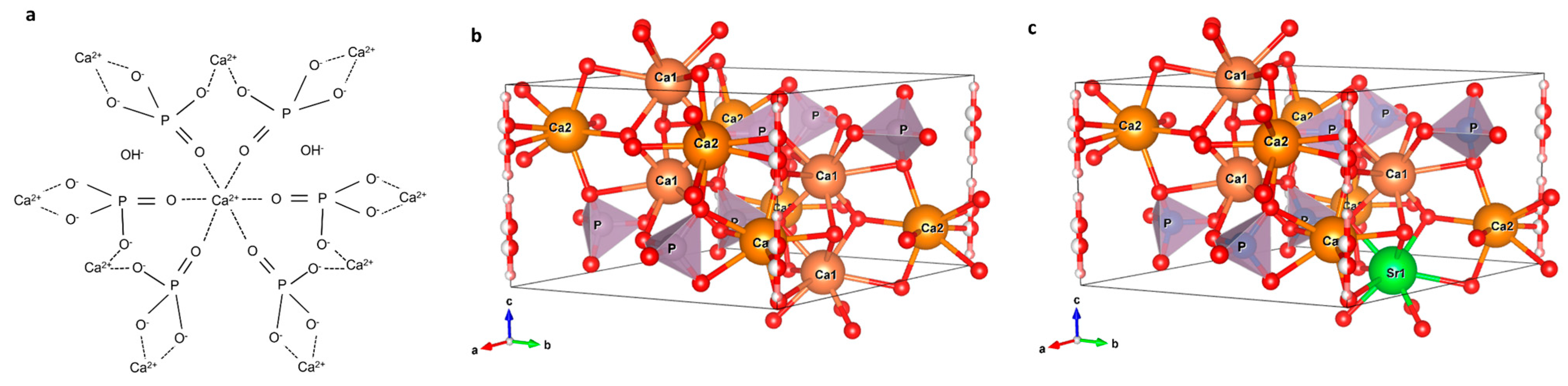 Polymers 16 01922 g001