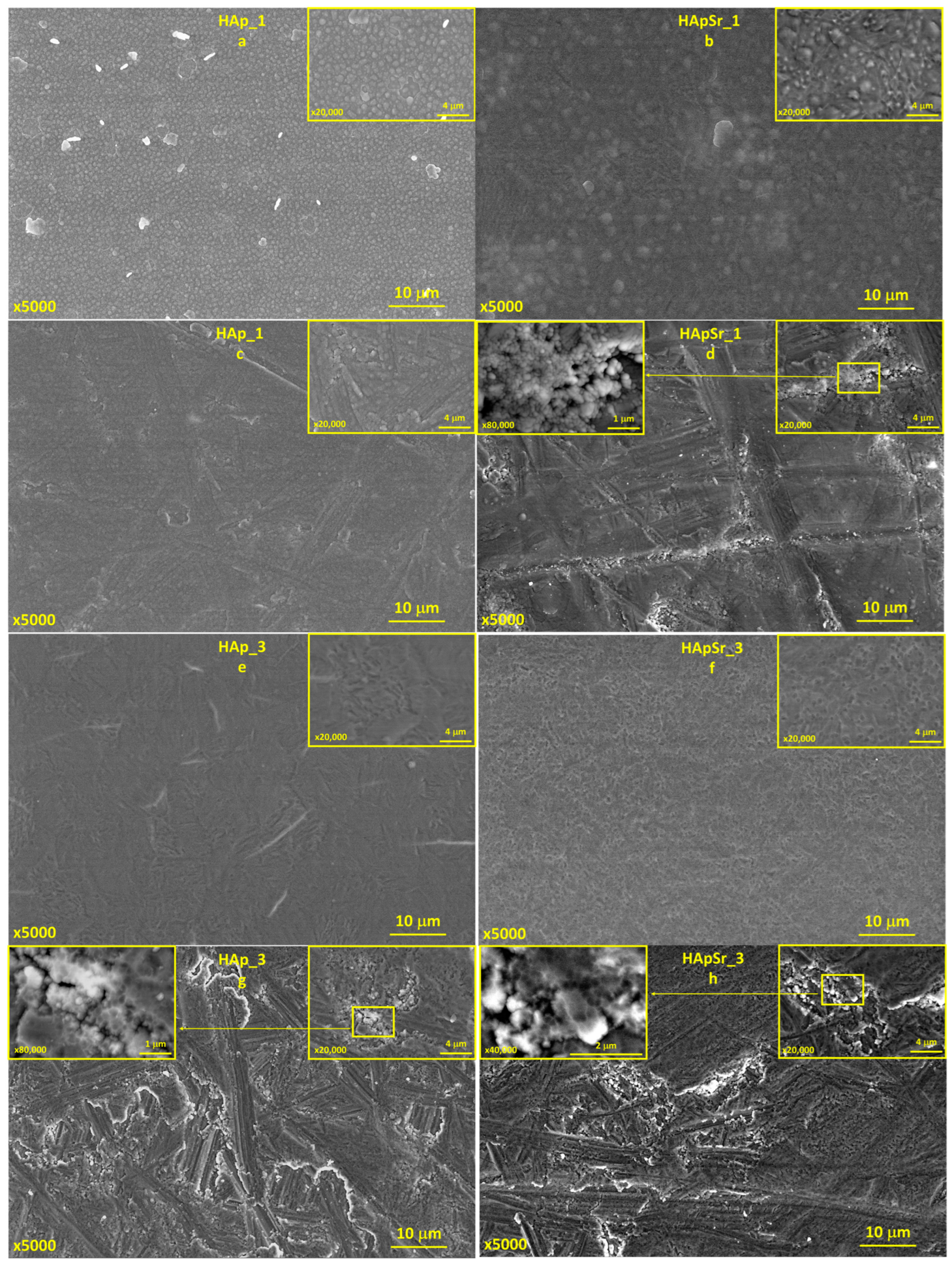 Polymers 16 01922 g008