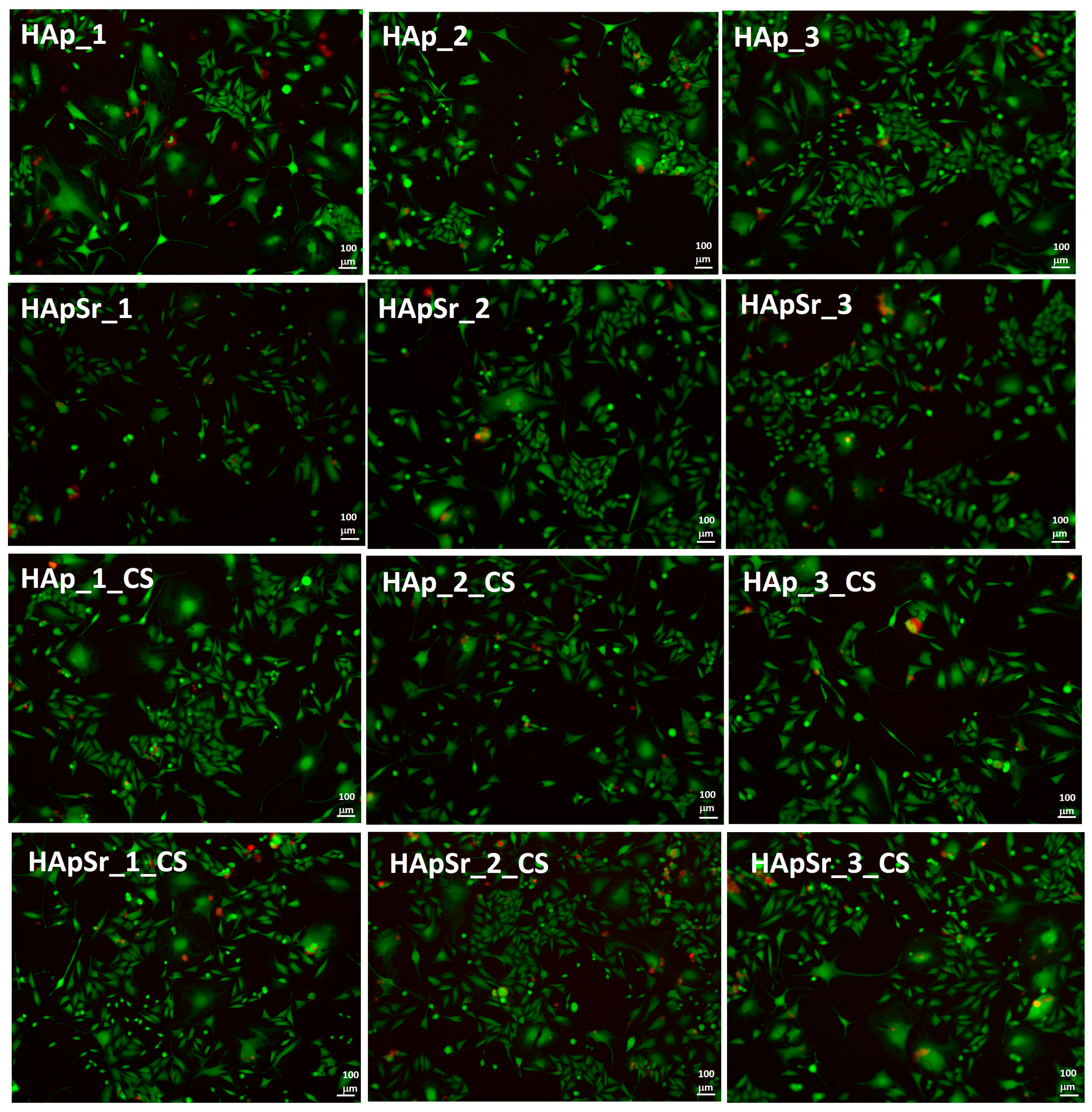 Polymers 16 01922 g012