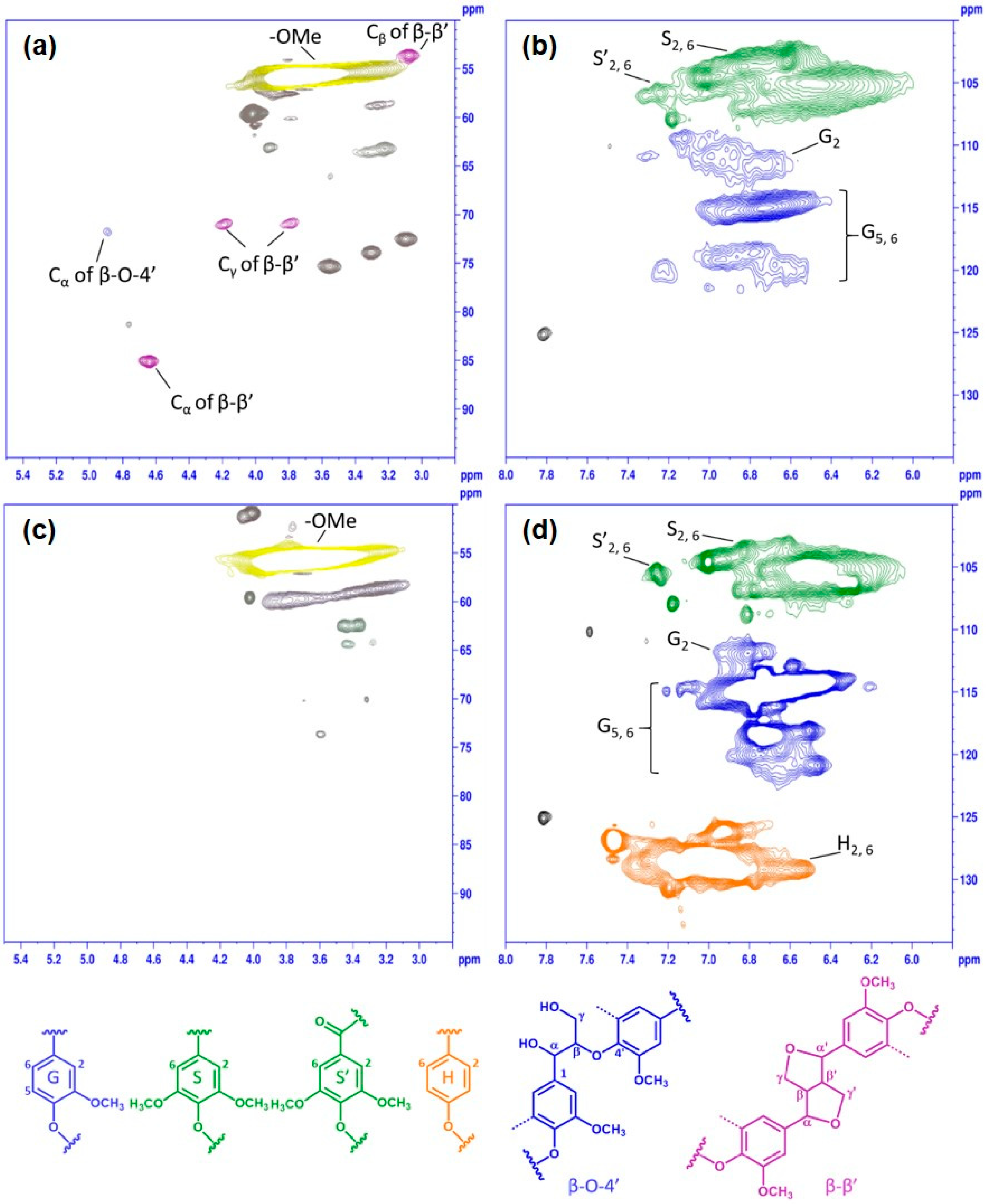 Polymers 16 01923 g004